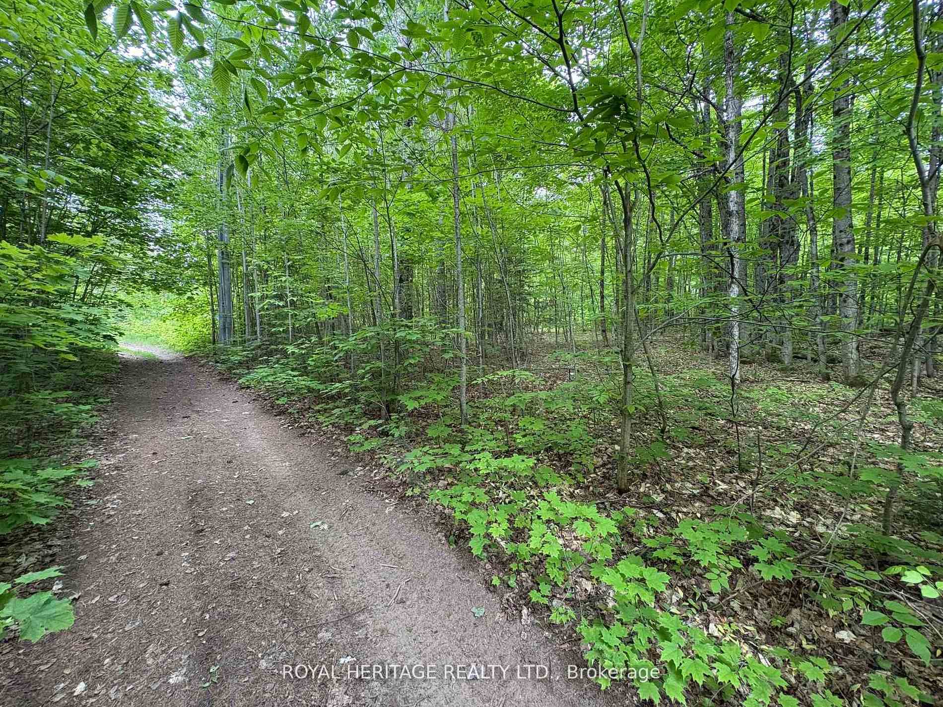 1043 Lawrence Pit Road, Muskoka Lakes, ON P0B 1M0, Muskoka Lakes — photo 1