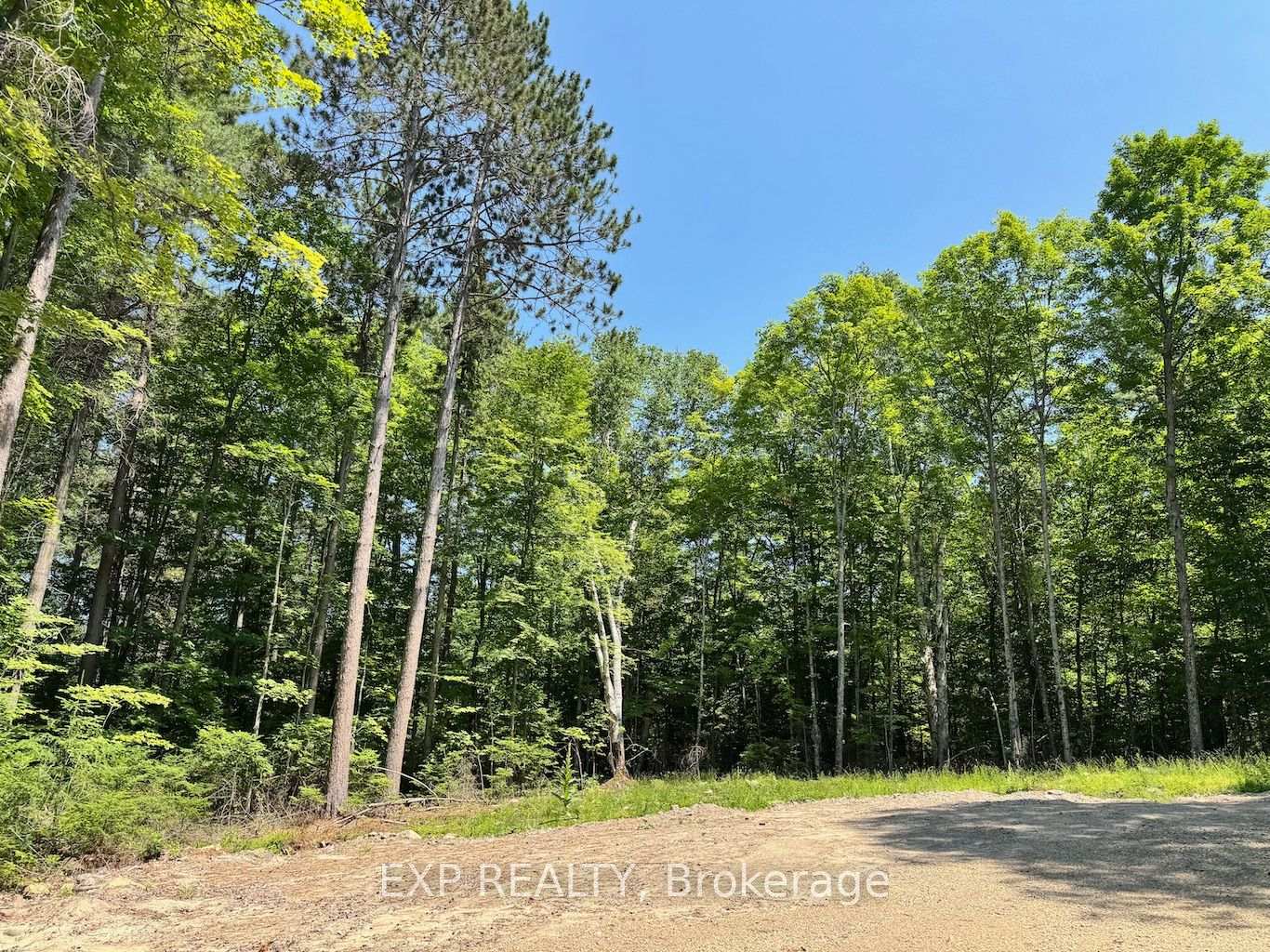 Lot 17 Lakewoods Drive, Madawaska Valley, ON K0J 1B0, Madawaska Valley — photo 1
