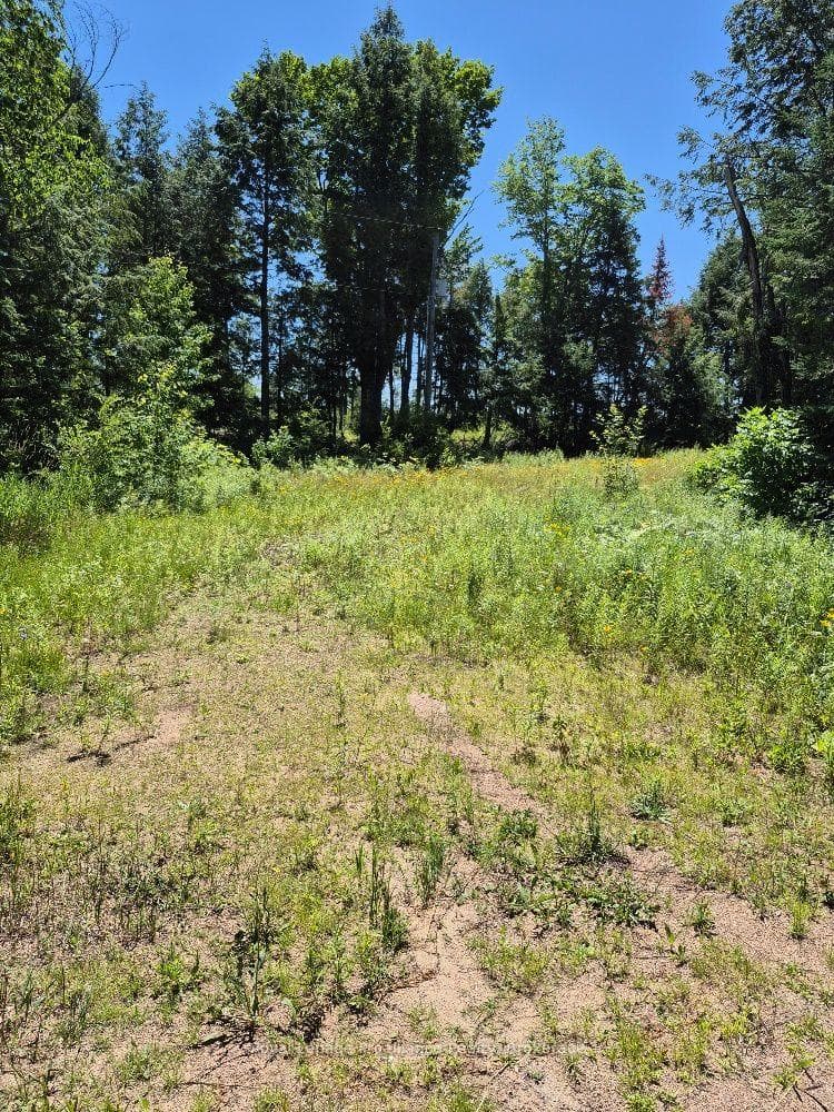 Lot 15 North Steenburg Lake Road, Wollaston, ON K0L 1P0, Wollaston — photo 1
