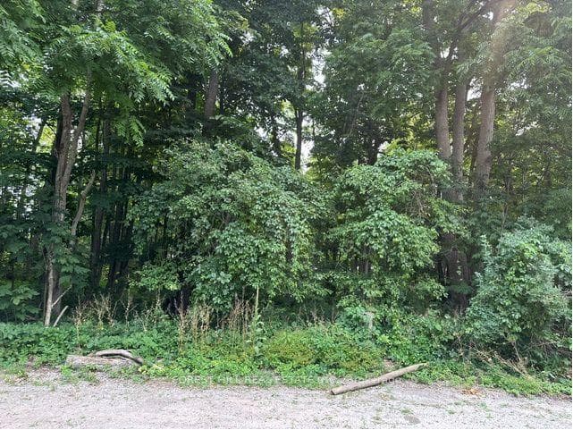 2728 25th Side Road, Innisfil, ON L9S 3T5, Innisfil — photo 1
