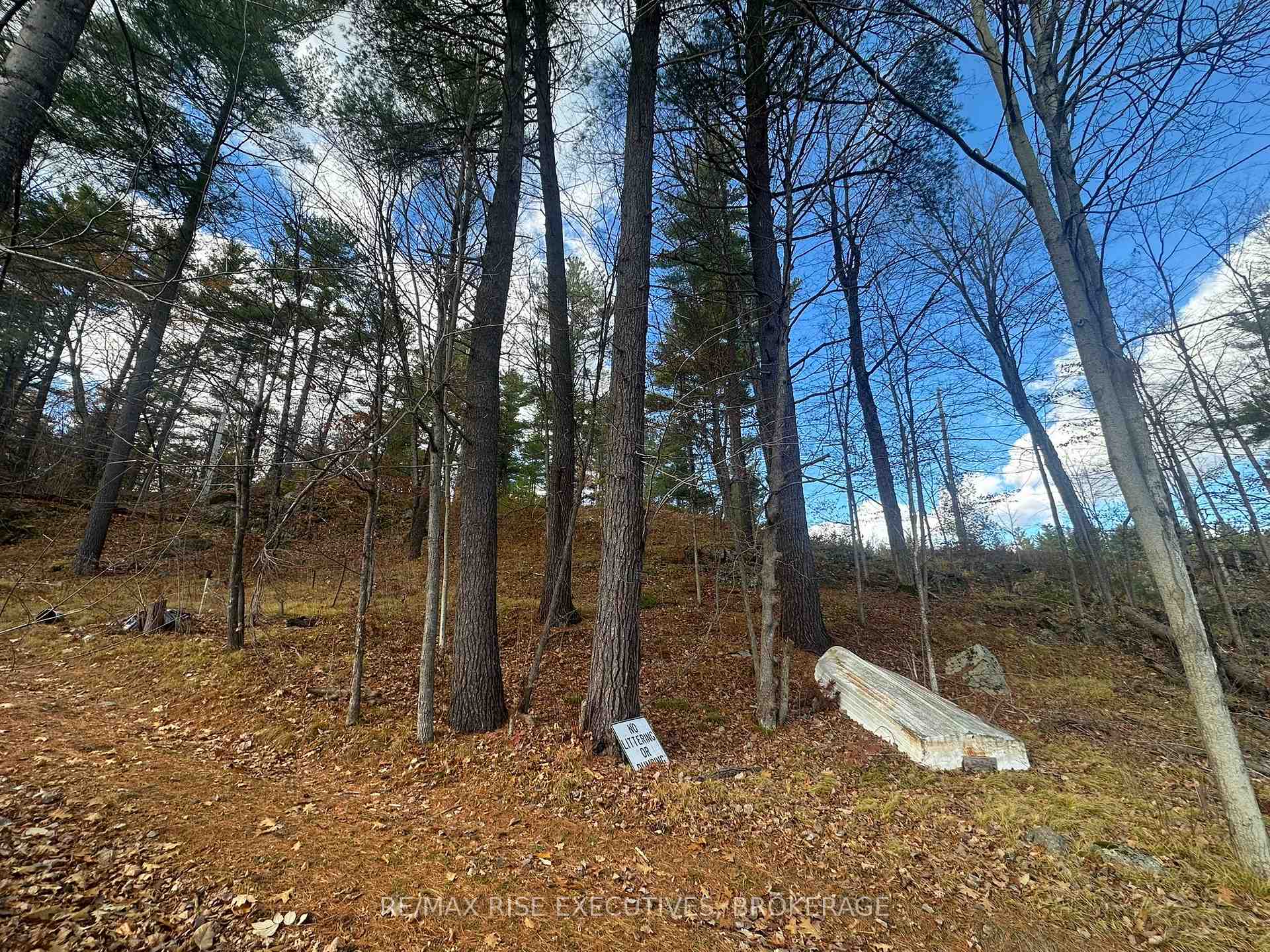 1457 Opeongo Road, Frontenac, ON K0H 2K0, Frontenac — photo 1