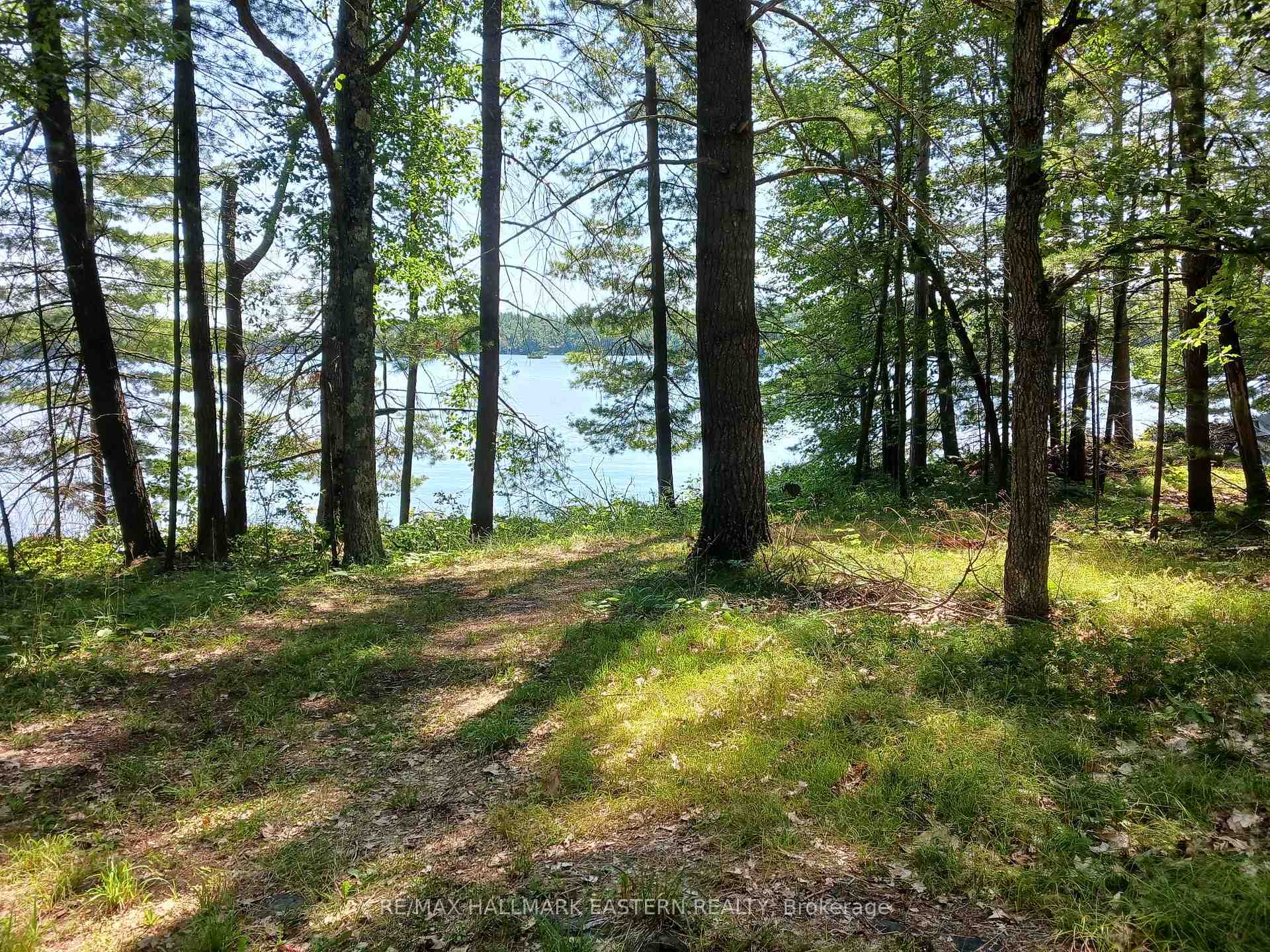 17 Fire Route 92A Kasshabog Lake, Havelock-Belmont-Methuen, ON K0L 2H0, Havelock-Belmont-Methuen — photo 1