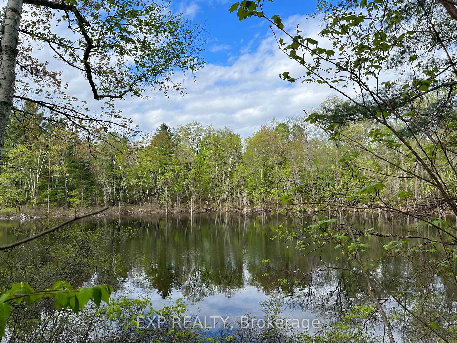 Lot 4 Sandy Shores Trail, Madawaska Valley, ON K0J 1B0, Madawaska Valley — photo 1