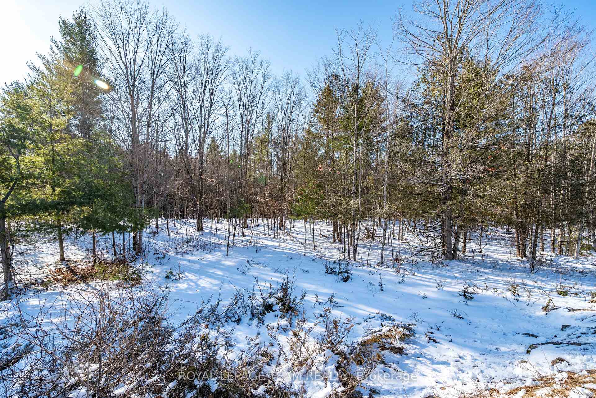 00 Maple Street, Lanark Highlands, ON K0G 1M0, Lanark Highlands — photo 1
