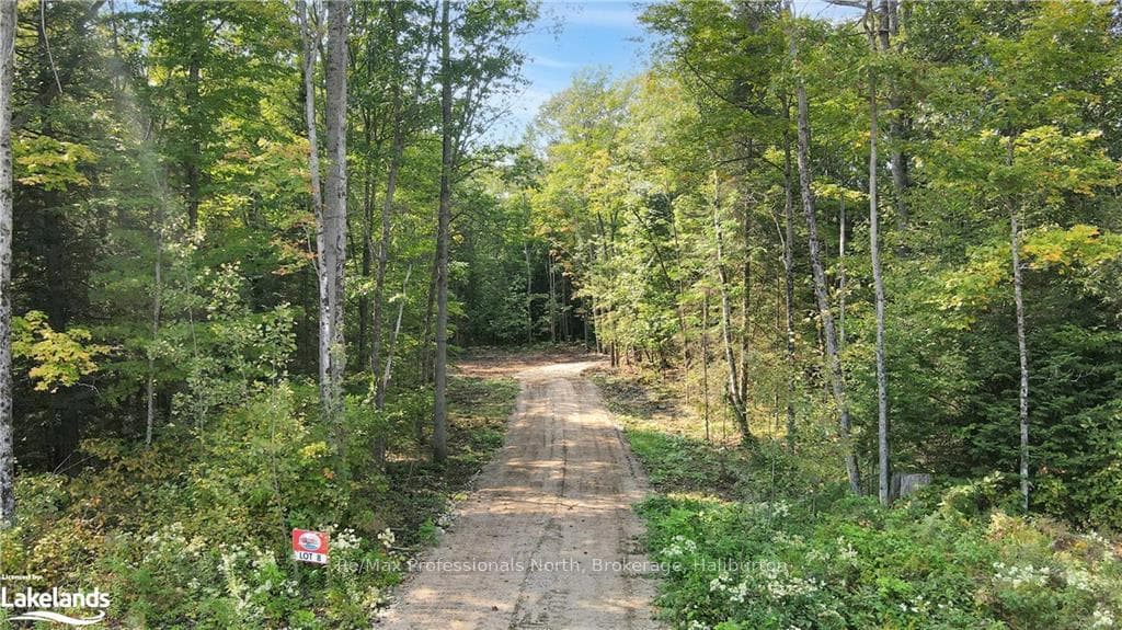 1169 Hawk Valley Road, Algonquin Highlands, ON K0M 1J2, Algonquin Highlands — photo 1