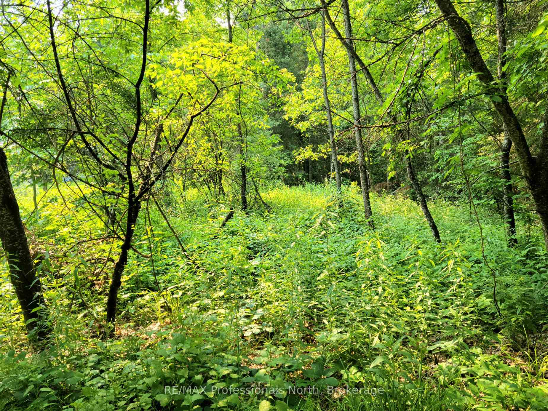 35 MOUNT VERNON Trail 26, Huntsville, ON P1H 1E3, Huntsville — photo 1