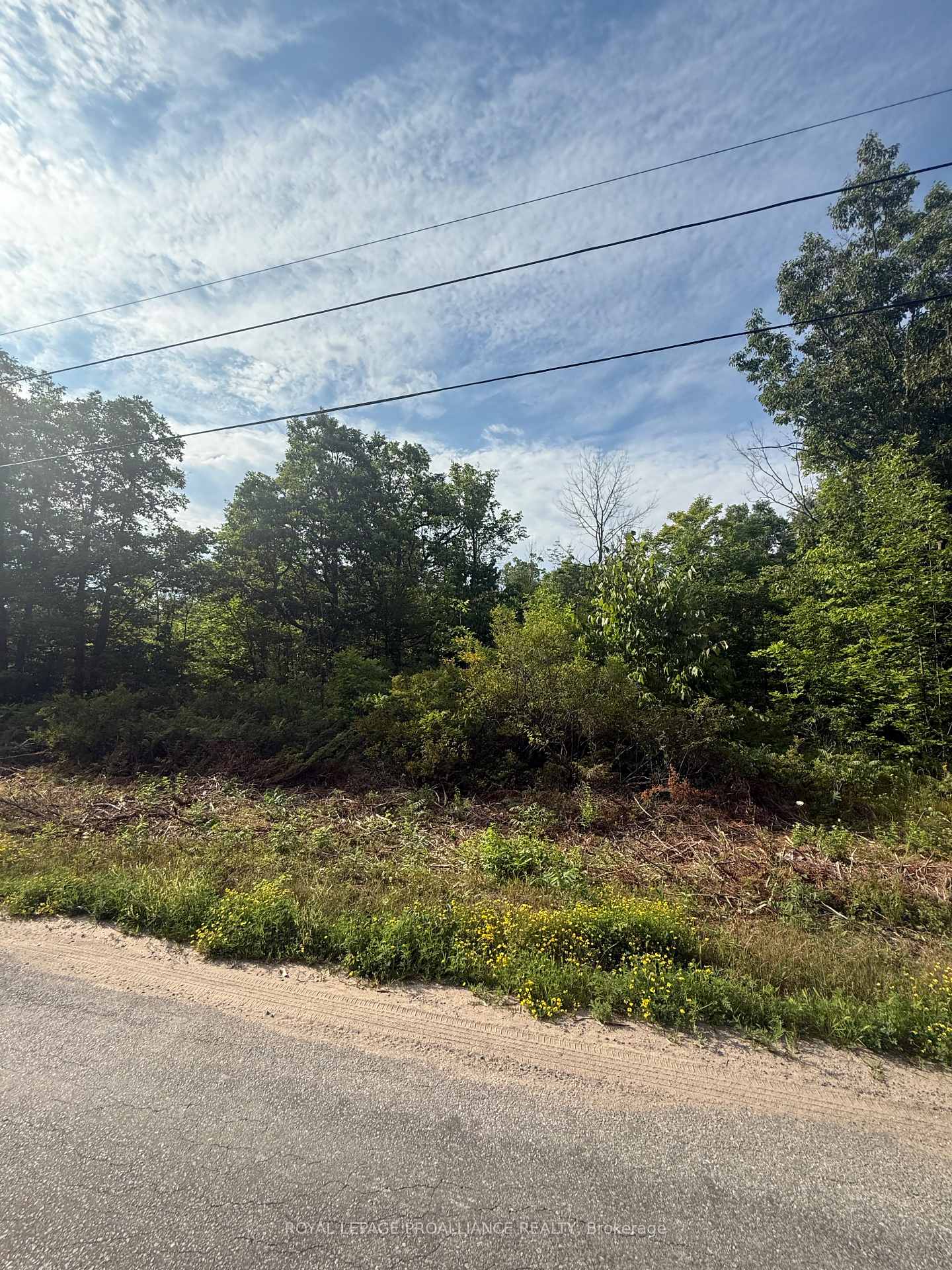 0 Rockhaven Road, Marmora and Lake, ON K0K 2M0, Marmora and Lake — photo 1
