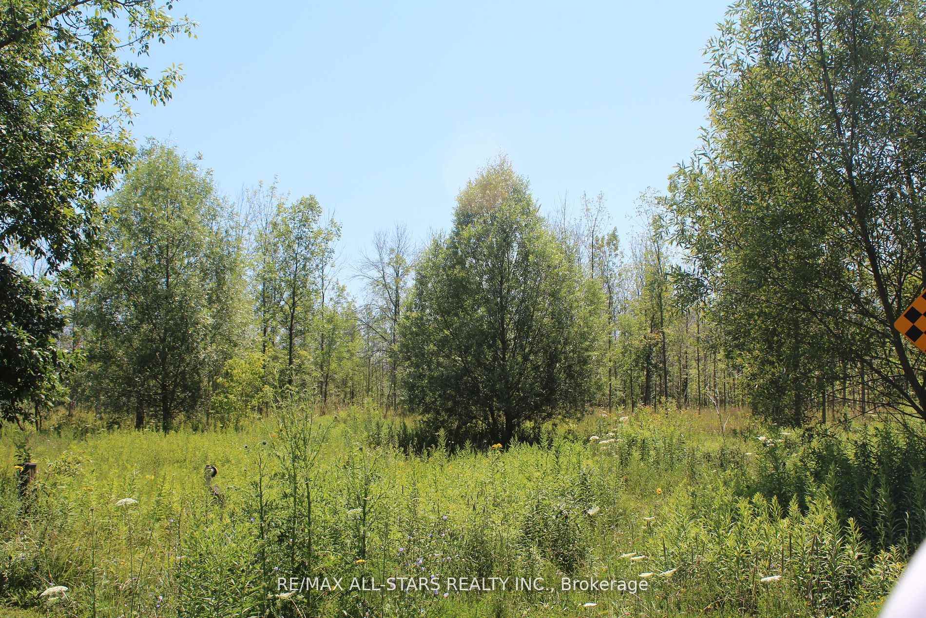 0 Metro Road, Georgina, ON L4P 3G1, Georgina — photo 1