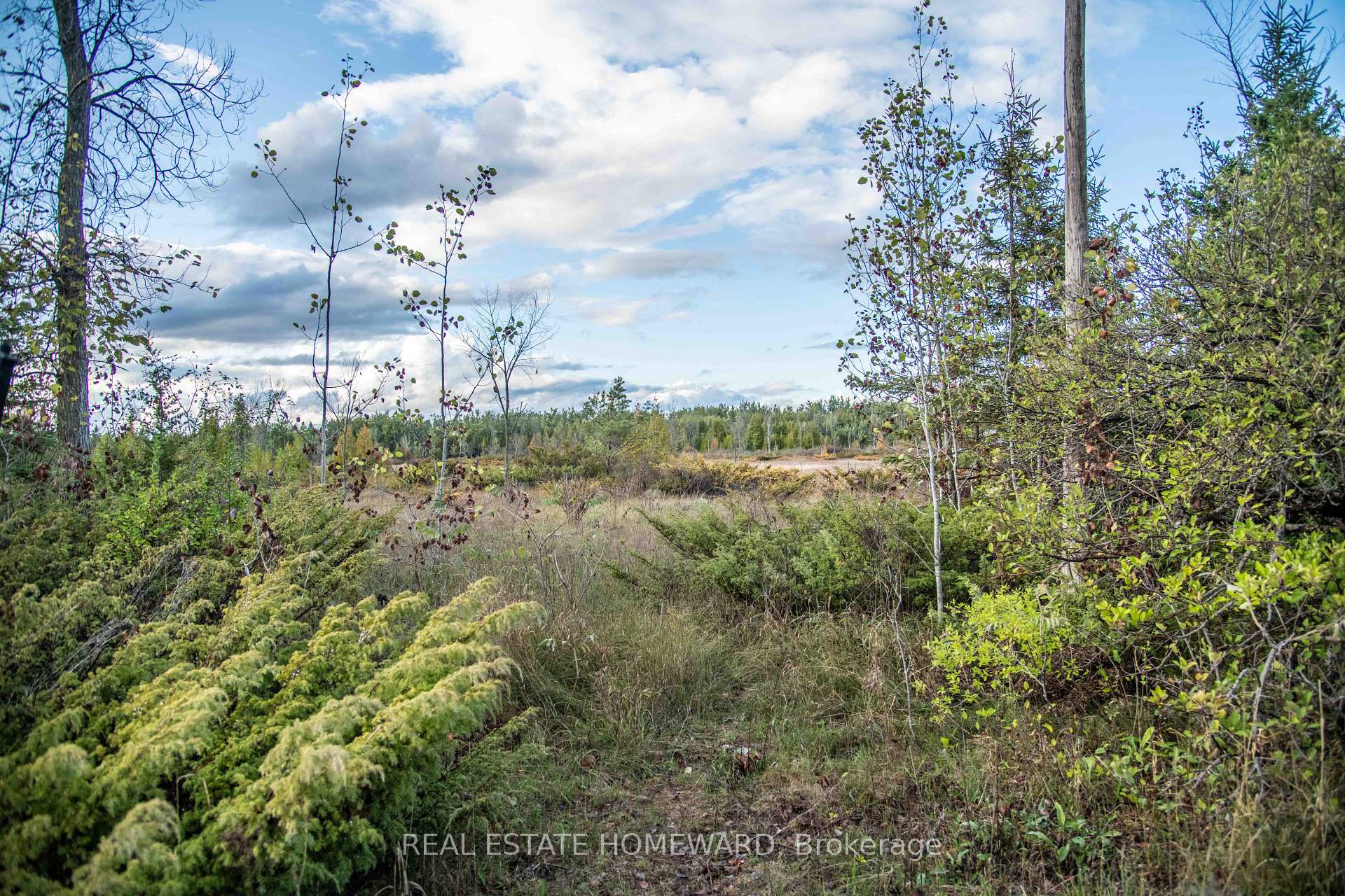 254-256 McGuire Beach Road, Kawartha Lakes, ON K0M 2B0, Kawartha Lakes — photo 1