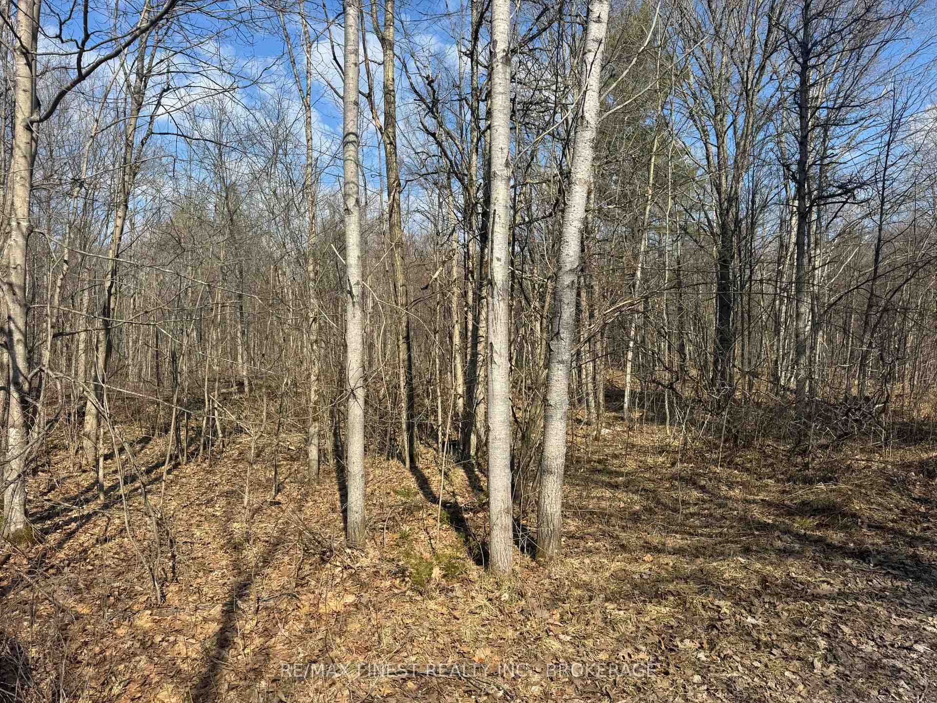0 CALIFORNIA Road, Stone Mills, ON K0K 1Z0, Stone Mills — photo 1