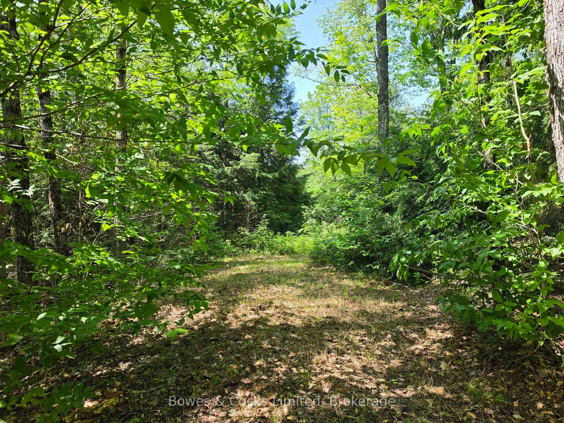 1160 Balmer Road, North Kawartha, ON K0L 1A0, North Kawartha — photo 1