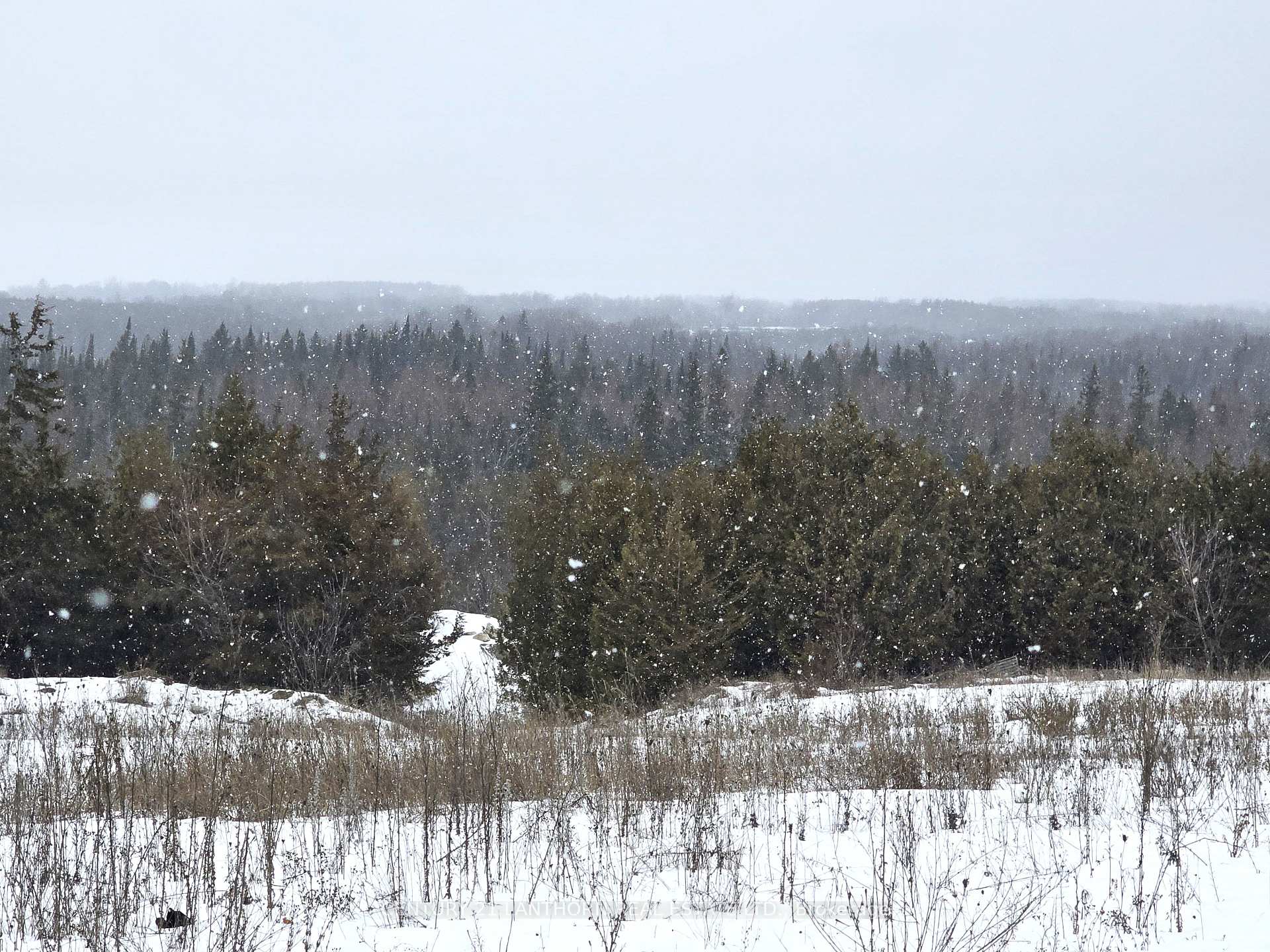 0 Shannonville Road, Tyendinaga, ON K0K 1V0, Tyendinaga — photo 1