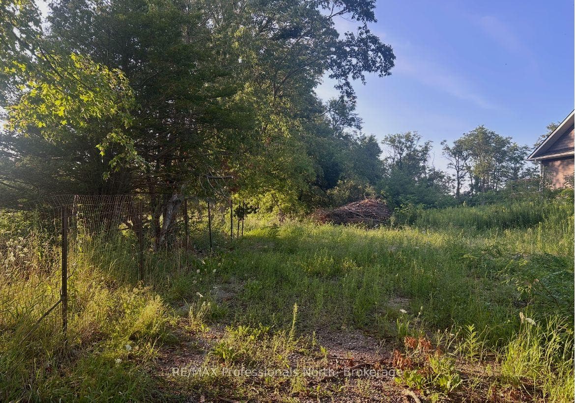 4437 Highway 7, Kawartha Lakes, ON K0L 2W0, Kawartha Lakes — photo 1