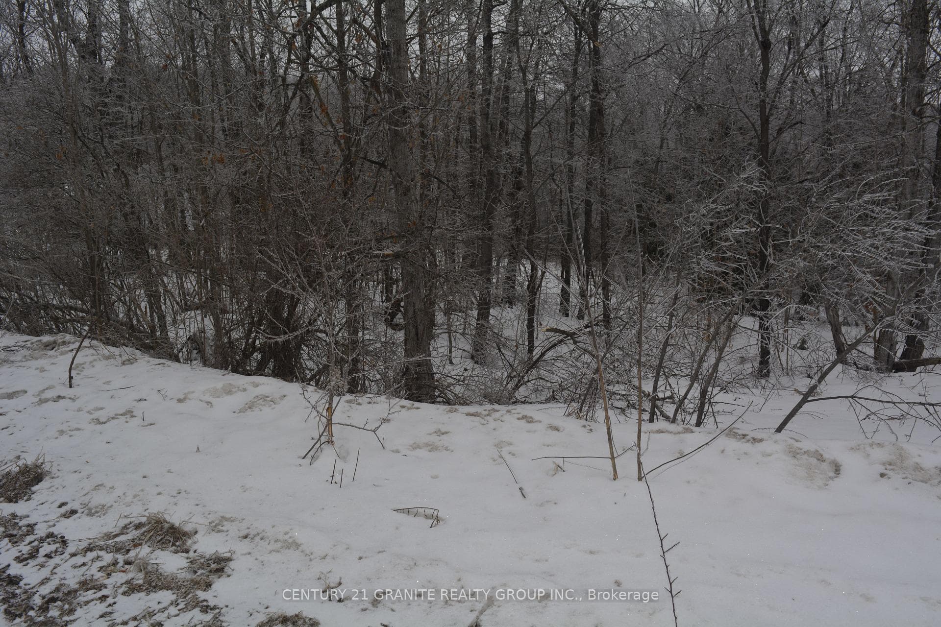 0 Sucie Road, Highlands East, ON K0L 2A0, Highlands East — photo 1