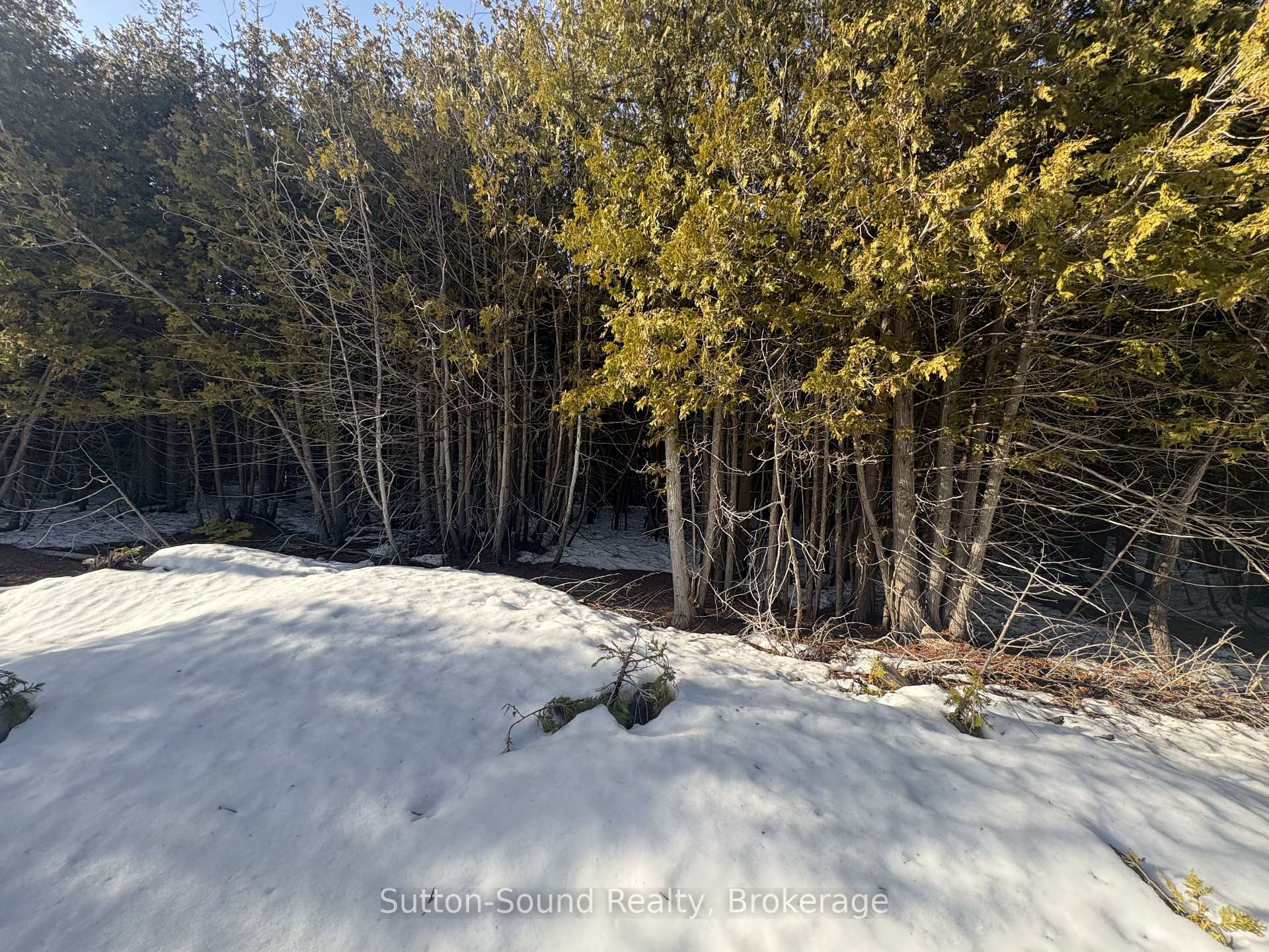 146 Sutter Road, Northern Bruce Peninsula, ON N0H 1W0, Northern Bruce Peninsula — photo 1