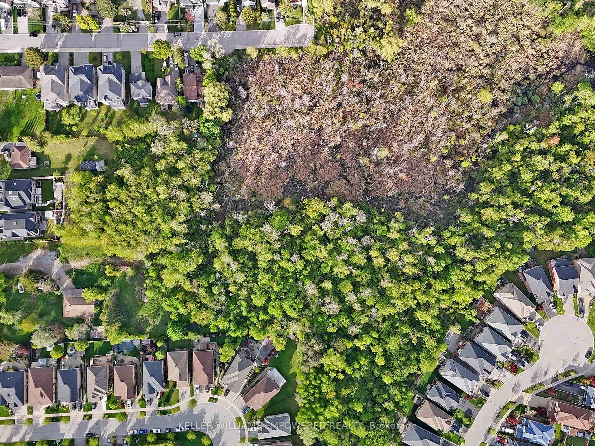 69 Snively Street, Richmond Hill, ON L4E 3E7
