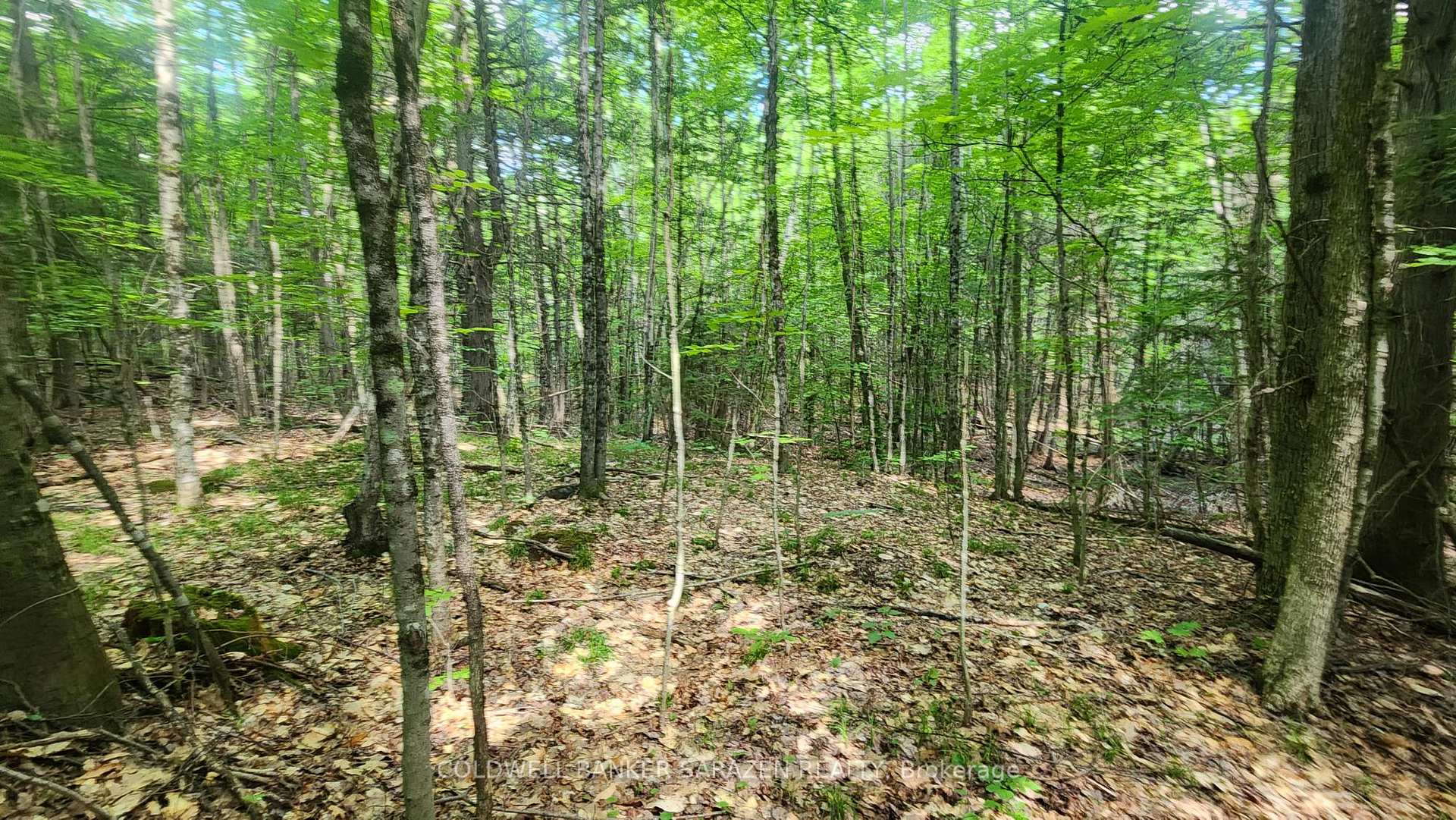 00 Canaan Road, McNab/Braeside, ON K7V 3Z4, McNab/Braeside — photo 1