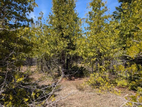 0 Sutter Road, Northern Bruce Peninsula, ON N0H 2T0, Northern Bruce Peninsula — photo 1