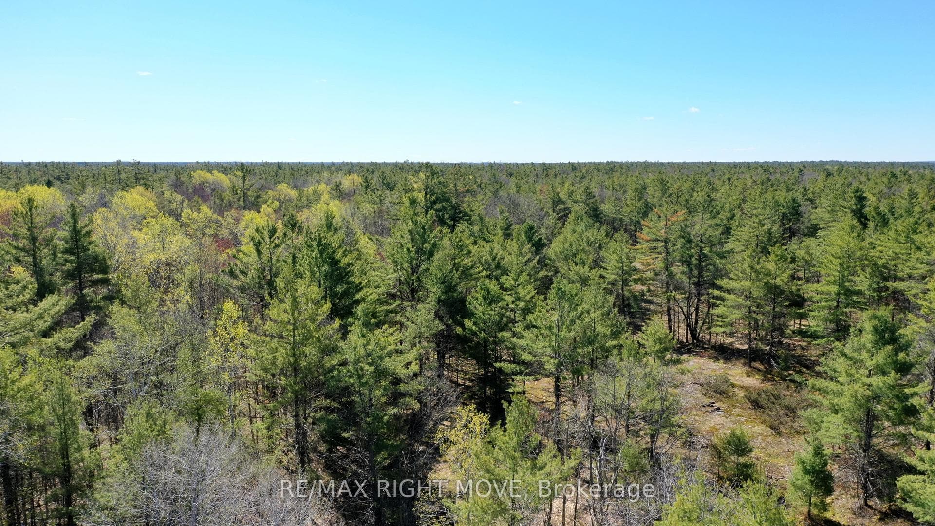 2503 Southwood Road, Gravenhurst, ON P0E 1G0, Gravenhurst — photo 1