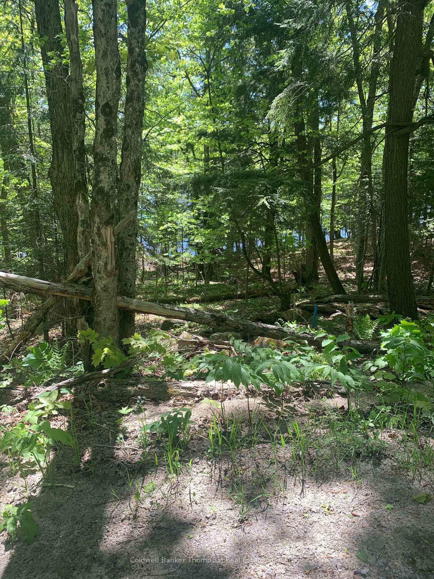 00 Wurm Road, Magnetawan, ON P0A 1P0, Magnetawan — photo 1