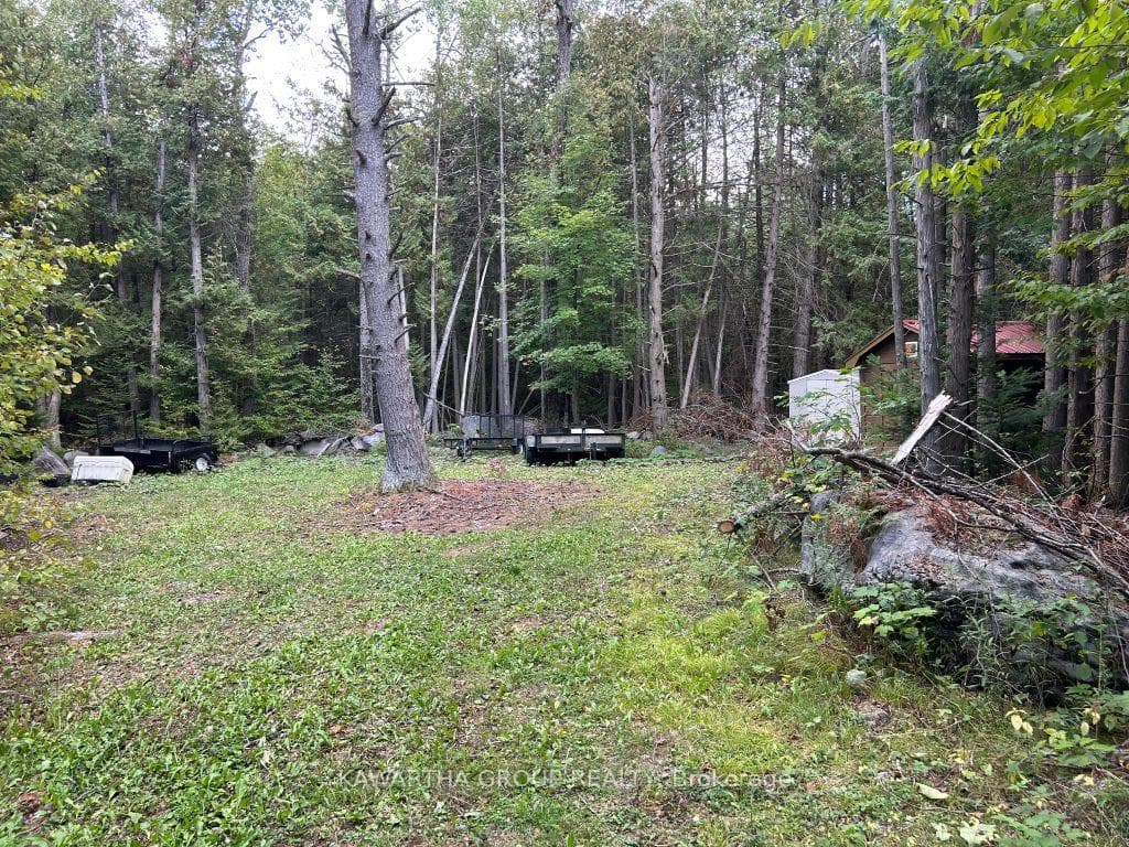 176 Base Line Road, Kawartha Lakes, ON K0M 1K0, Kawartha Lakes — photo 1