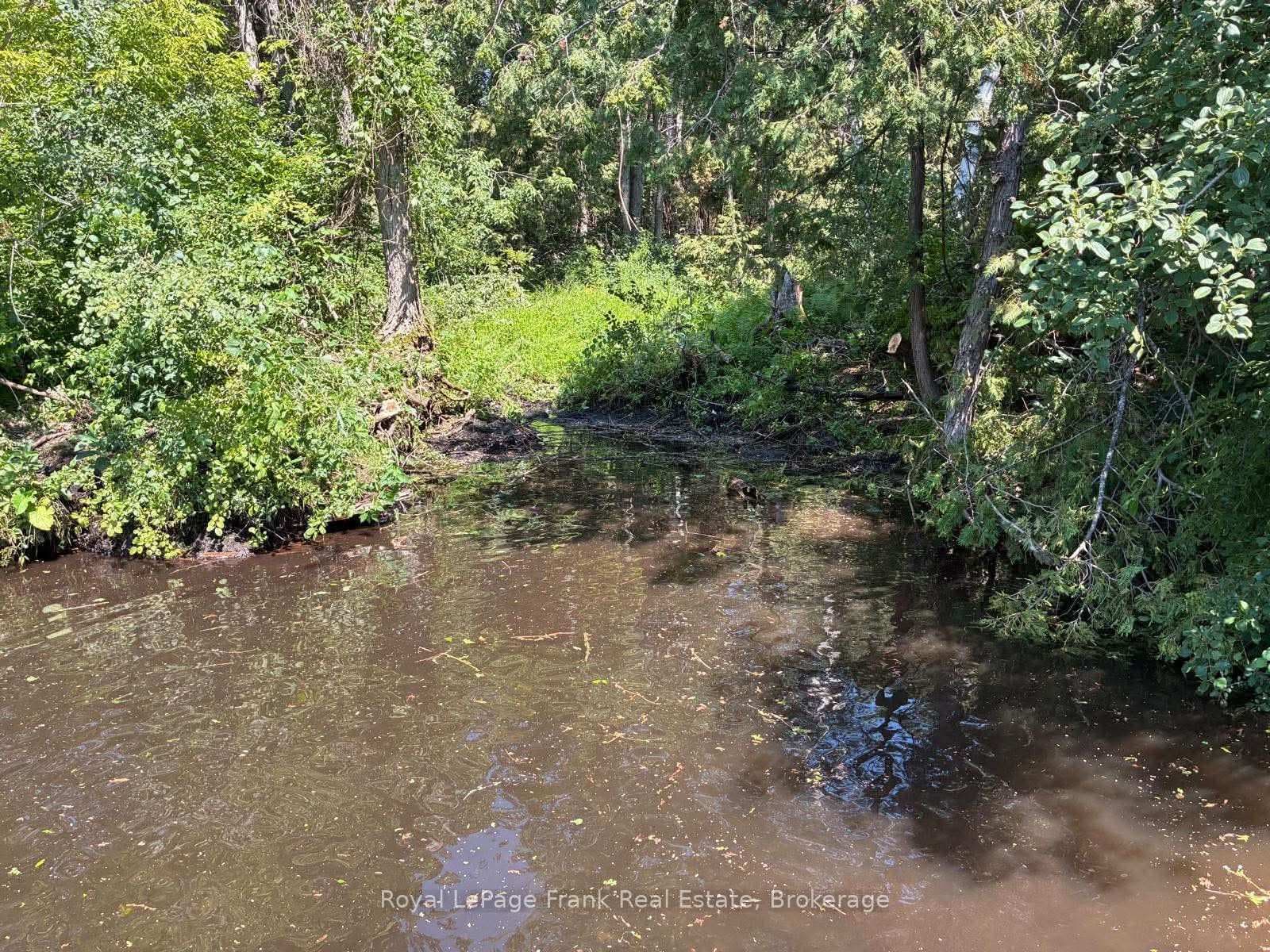 0 Balsam Lake Drive, Kawartha Lakes, ON K0M 2B0, Kawartha Lakes — photo 1