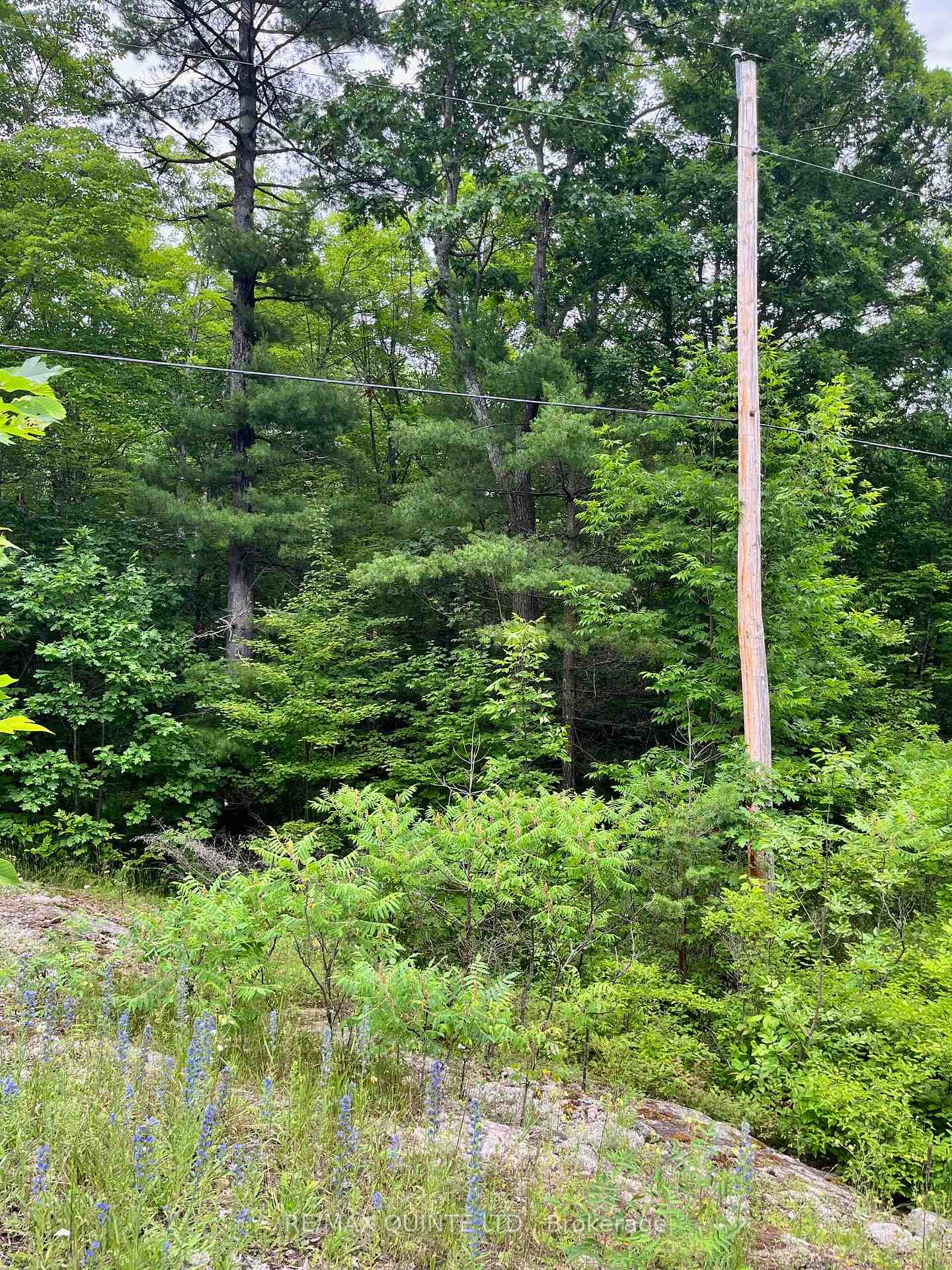 0 (PIN - 40264-0091) Potter Settlement Road, Tweed, ON K0K 3J0, Tweed — photo 1