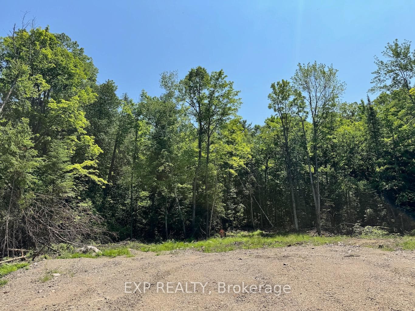 Lot 6 Lakewoods Drive, Madawaska Valley, ON K0J 1B0, Madawaska Valley — photo 1