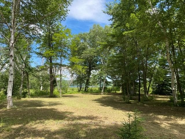 Lot 9 Lower Craigmont Road, Madawaska Valley, ON K0J 1B0, Madawaska Valley — photo 1