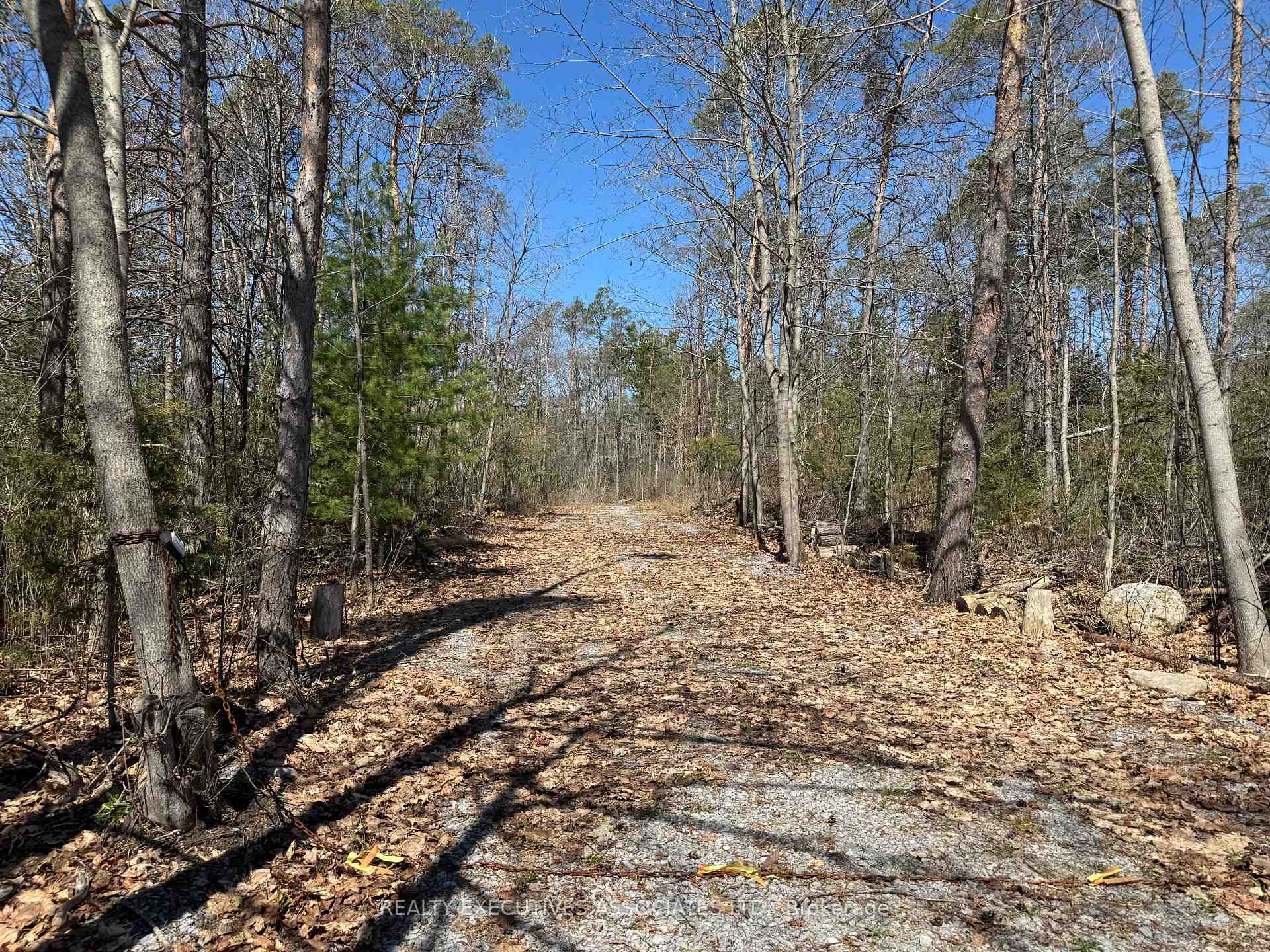 6192 County Rd 50, Trent Hills, ON K0L 1L0, Trent Hills — photo 1