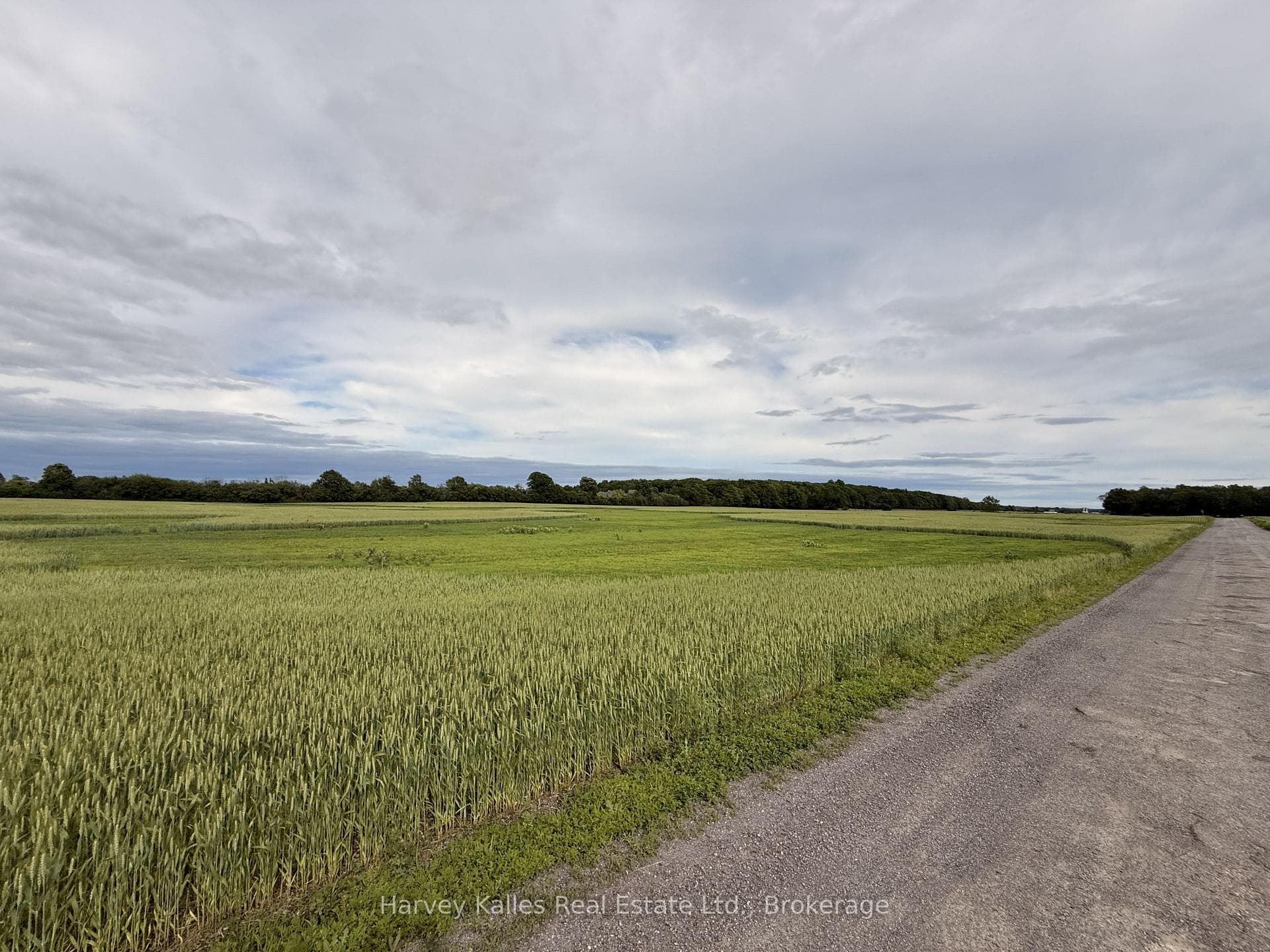 Beside 243 Morgan Road, Prince Edward County, ON K0K 1G0, Prince Edward County — photo 1