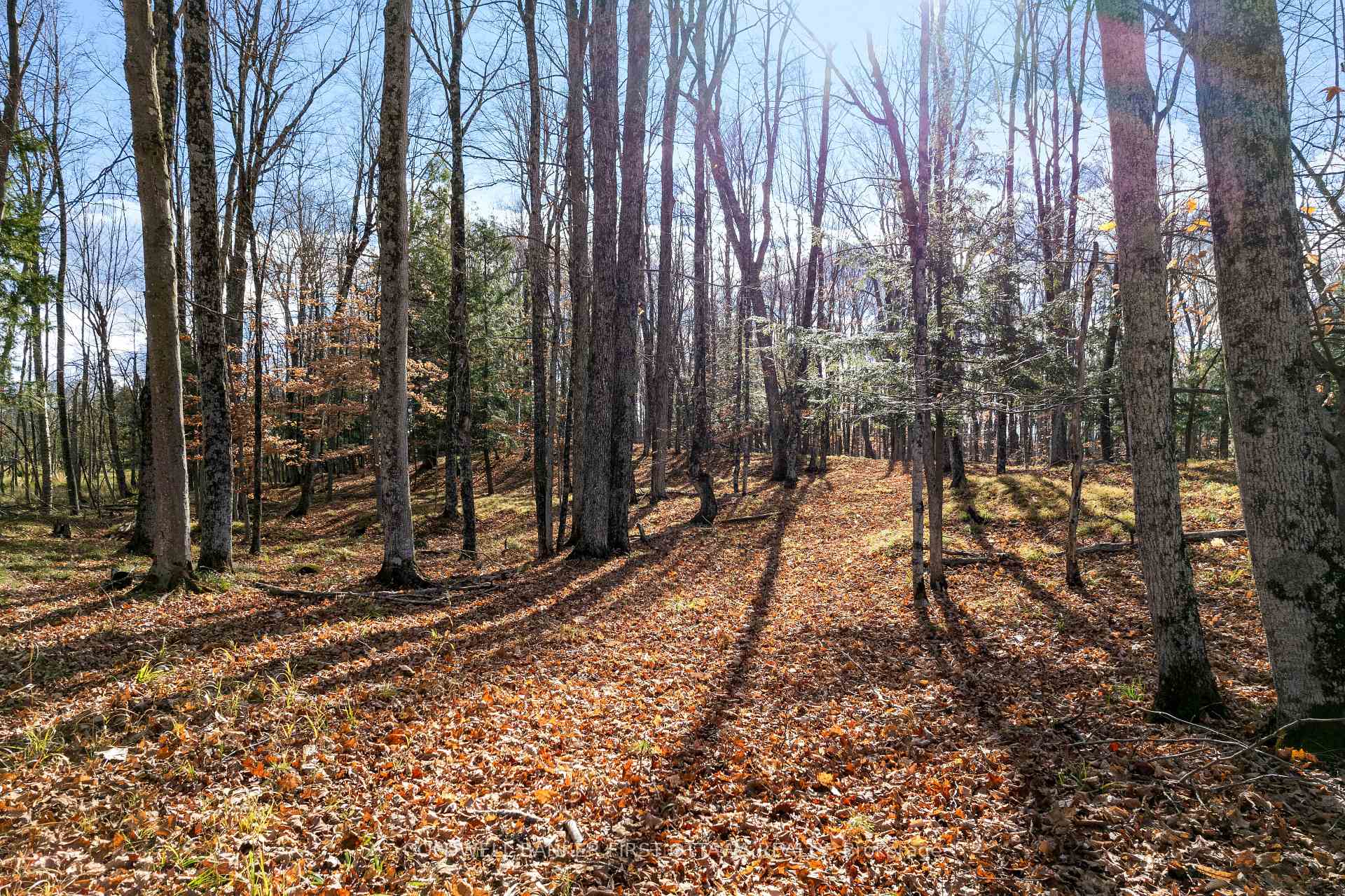 PT 2-00 Herron Mills Road, Lanark Highlands, ON K0G 1K0, Lanark Highlands — photo 1