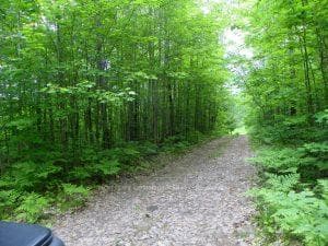 50 Acres in Muskoka North of Bala - PCL 31045, Muskoka Lakes, ON P0C 1A0, Muskoka Lakes — photo 1