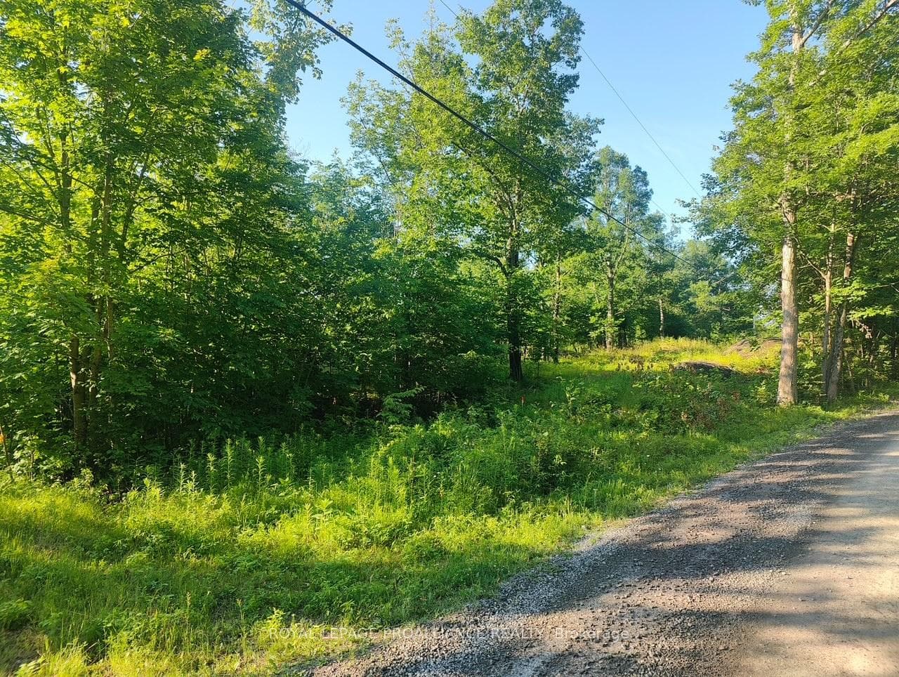 621A Cook Road, Marmora and Lake, ON K0K 2M0, Marmora and Lake — photo 1