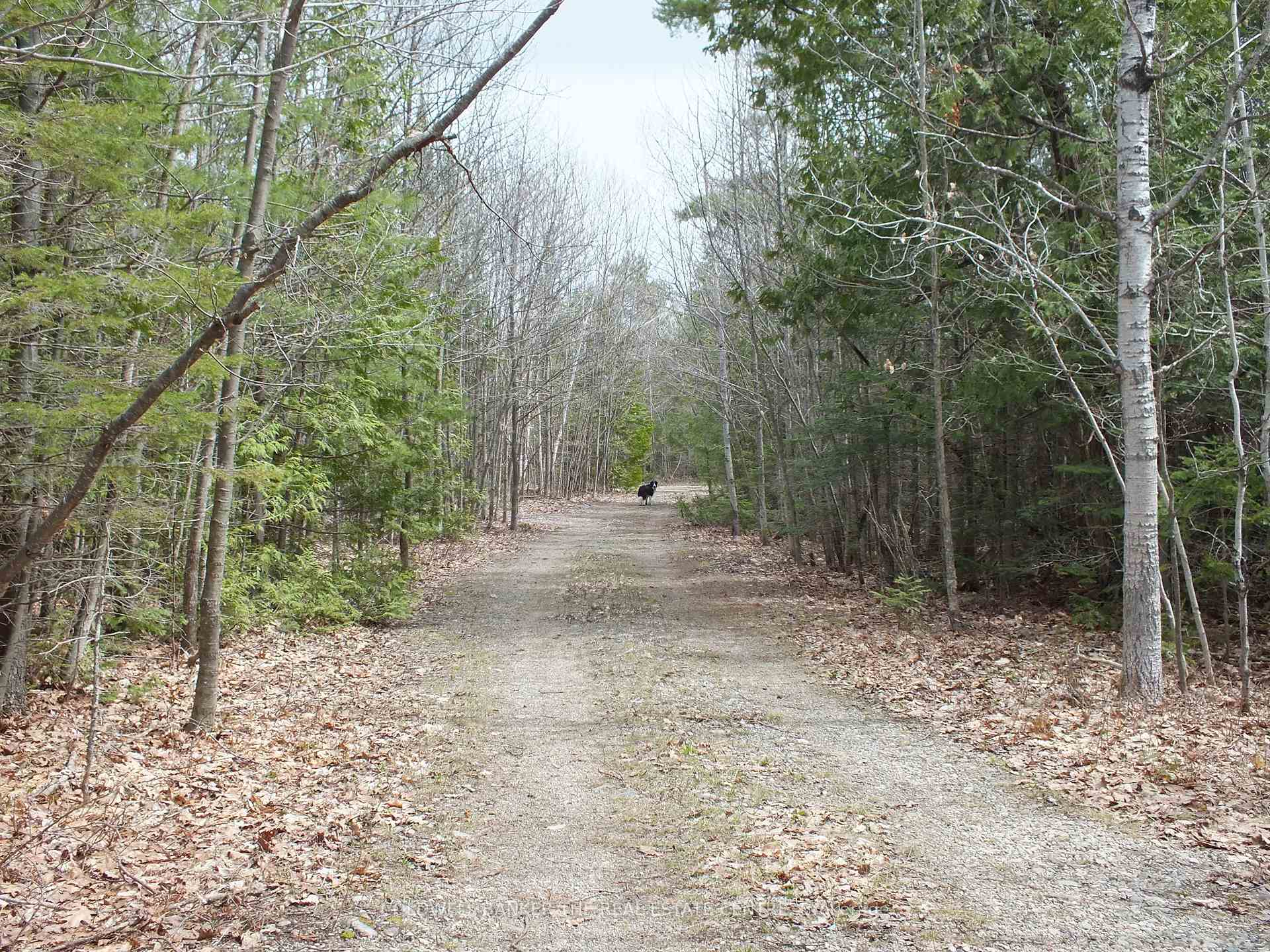 N/A Dial Road N, Central Manitoulin, ON P0P 2C0, Central Manitoulin — photo 1