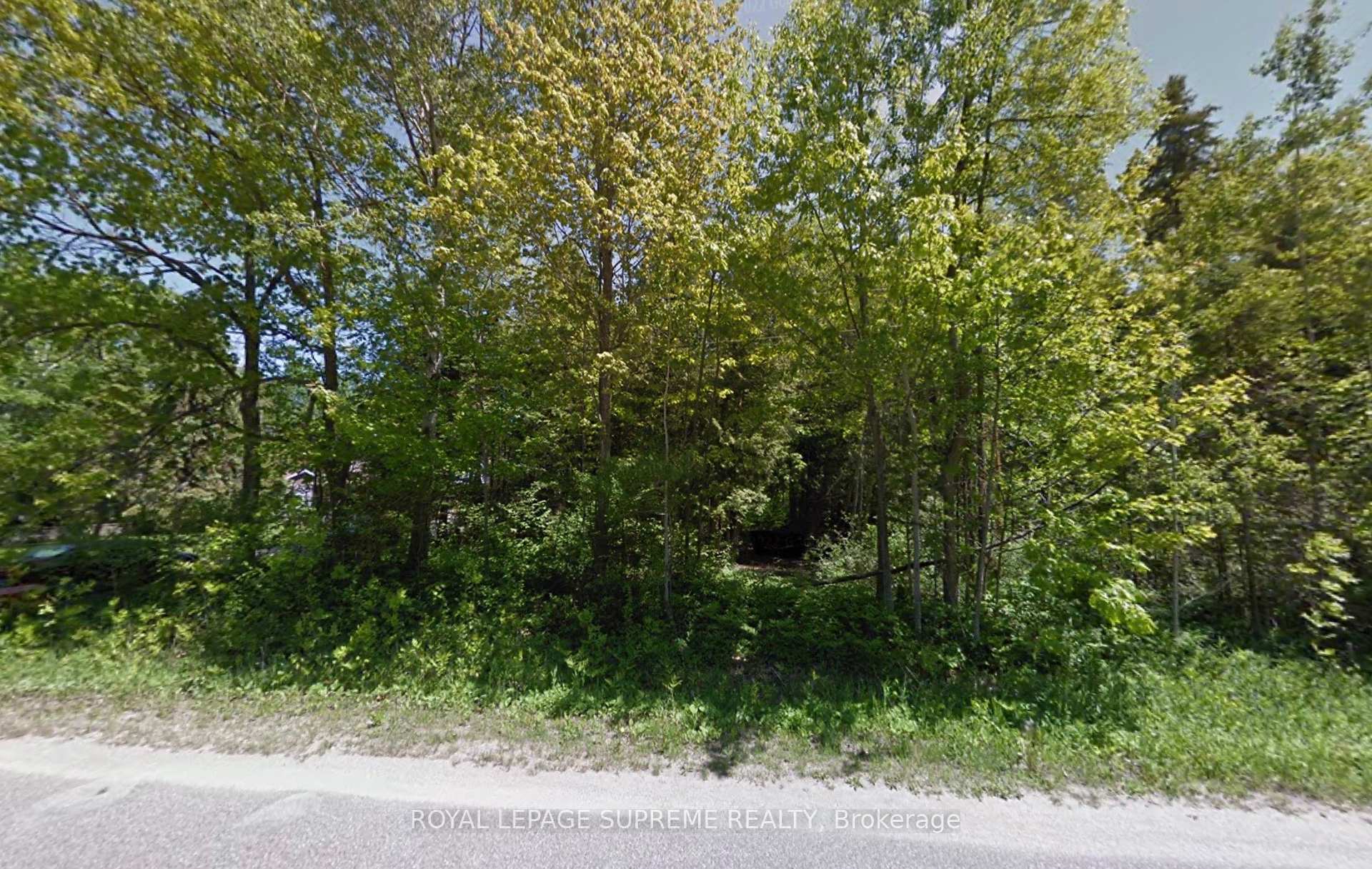 Lot 39 Tiny Beaches Road S, Tiny, ON L0L 1P1, Tiny — photo 1