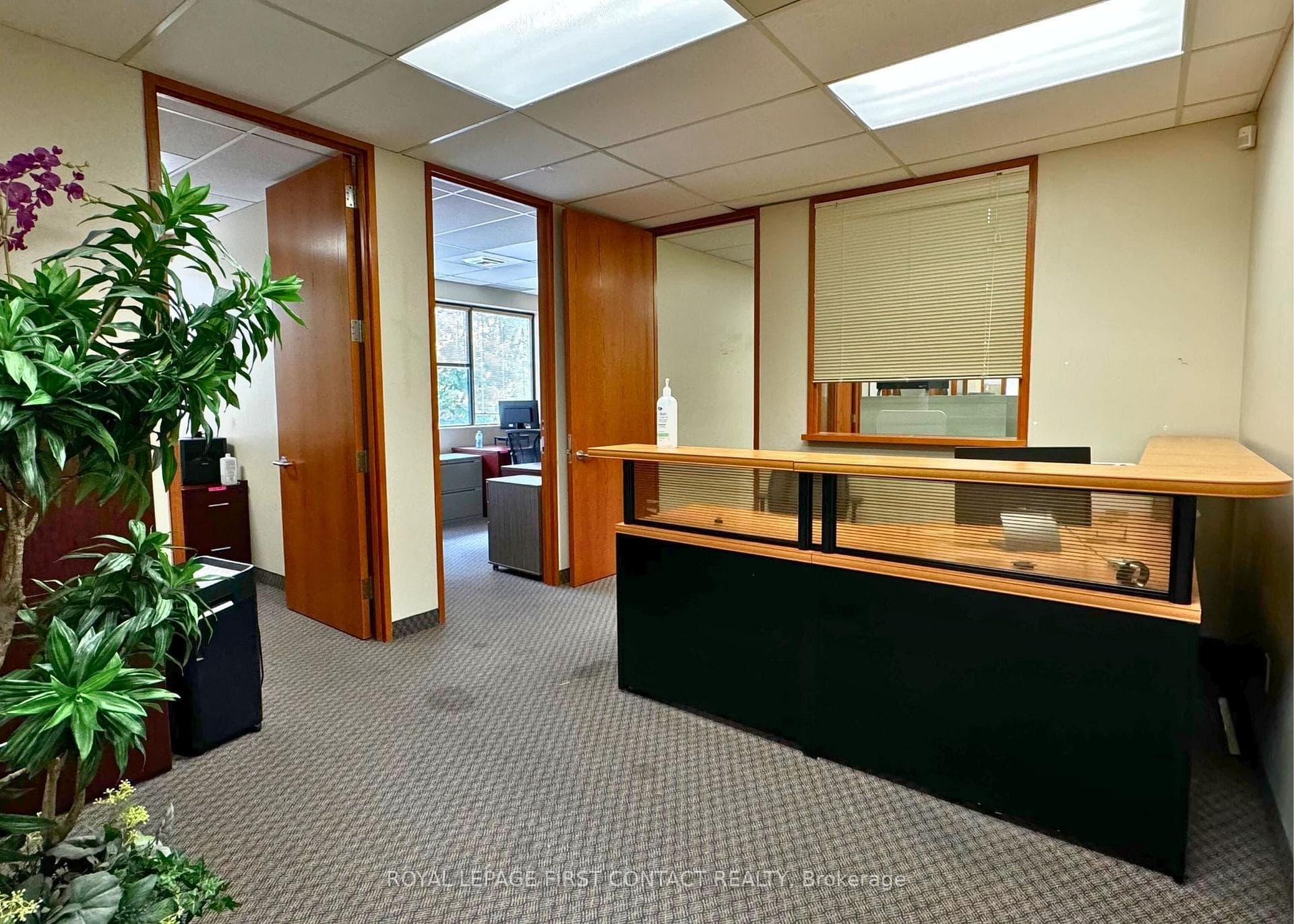135 Bayfield Street 202, Barrie, ON L4M 3B3, Barrie — photo 1