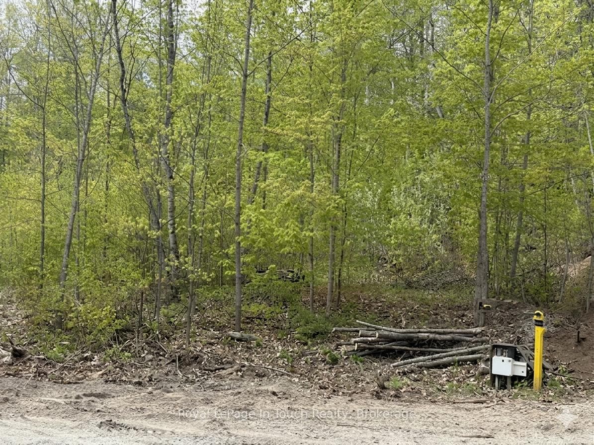 1536 CHAMPLAIN Road, Tiny, ON L9M 0C1, Tiny — photo 1