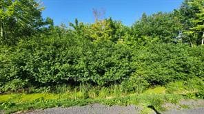 LOT 7 PLAN 246 Tolmies Corners Road, North Stormont, ON K0C 1V0, North Stormont — photo 1