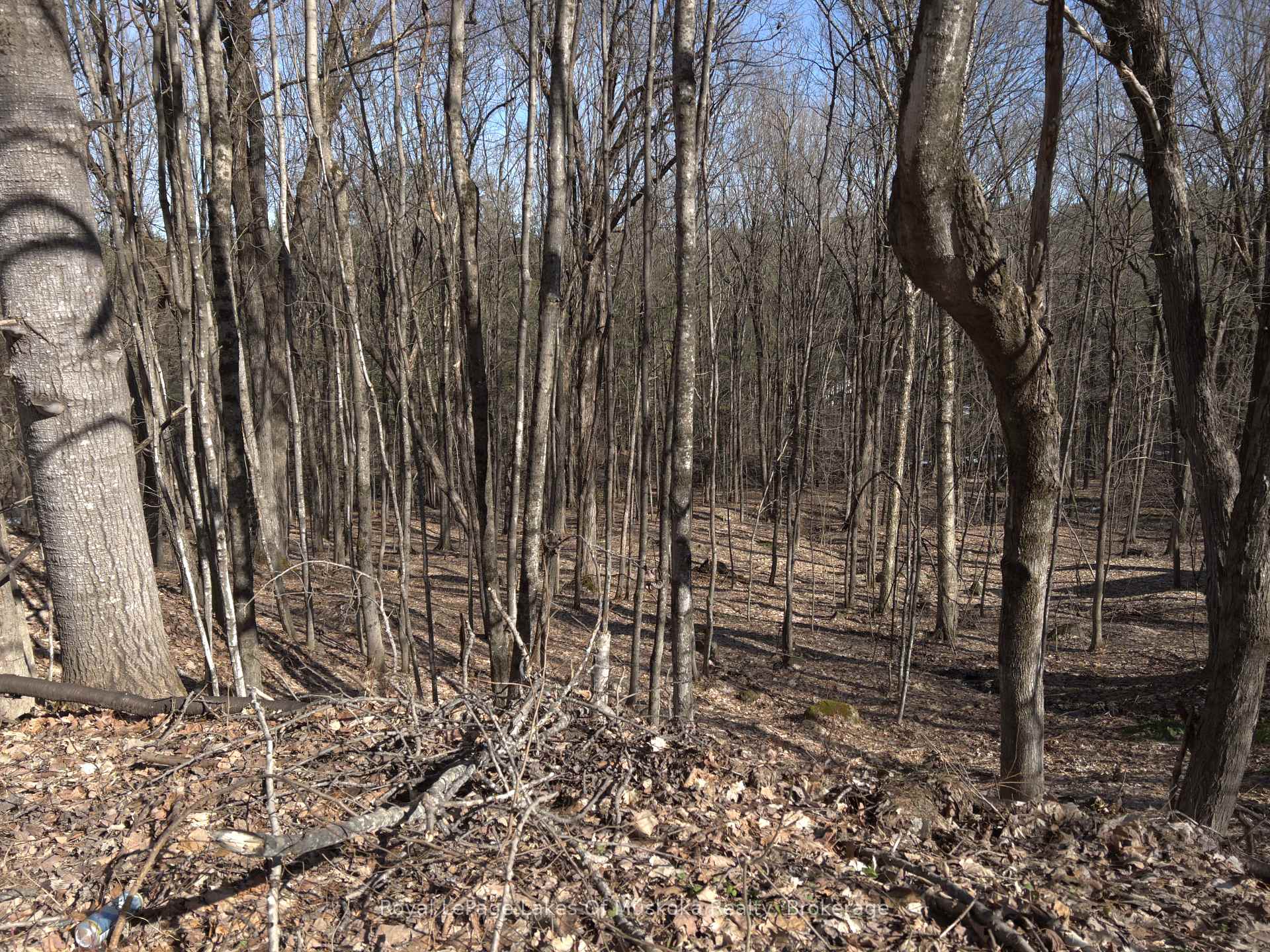 0 SOUTH MUSKOKA Drive, Bracebridge, ON P1L 1M4, Bracebridge — photo 1