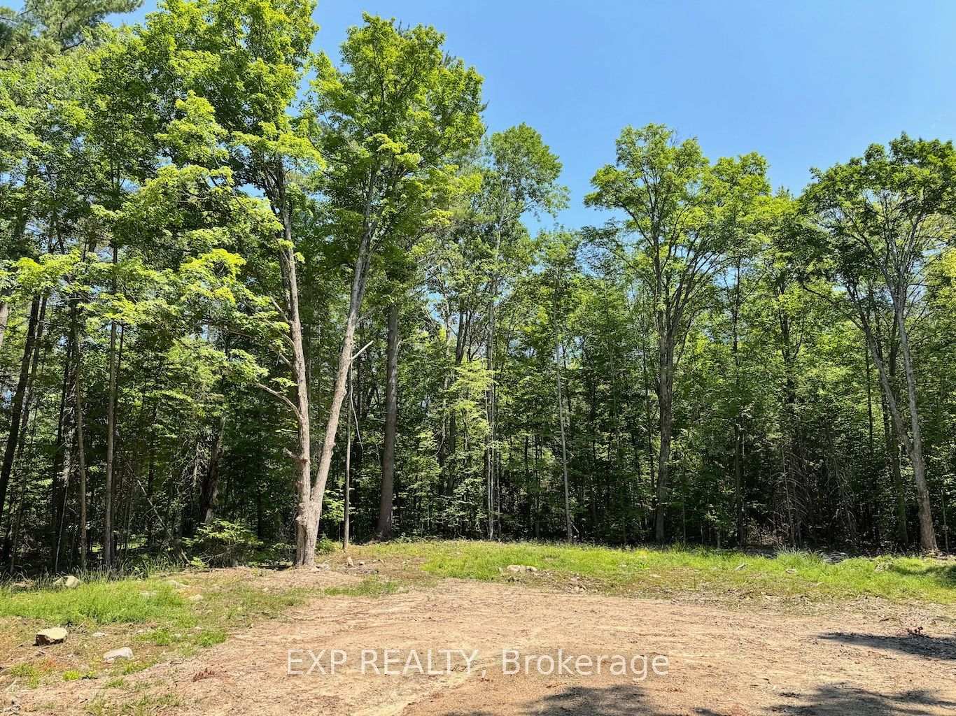 Lot 21 Lakewoods Drive, Madawaska Valley, ON K0J 1B0, Madawaska Valley — photo 1