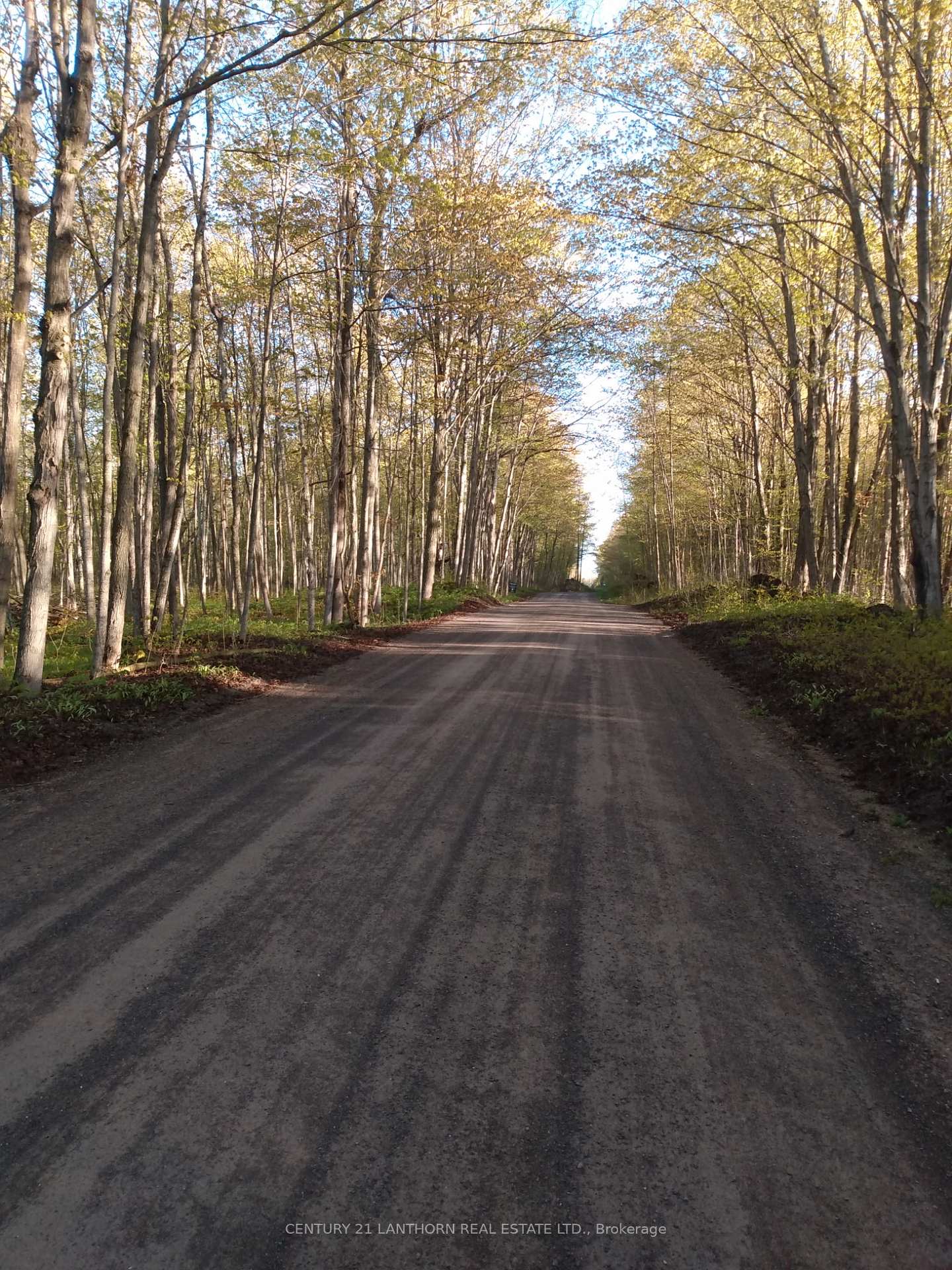 55 Post Road, Centre Hastings, ON K0K 3H0, Centre Hastings — photo 1