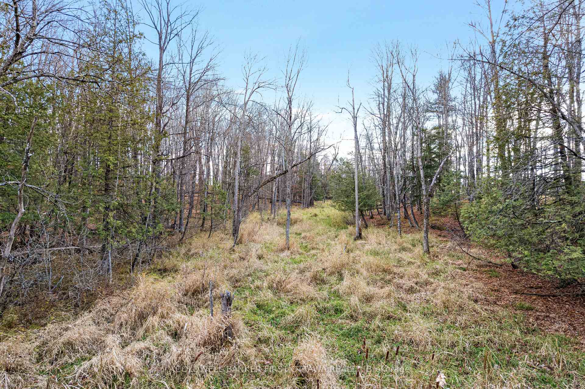 PT 1-00 Herron Mills Road, Lanark Highlands, ON K0G 1K0, Lanark Highlands — photo 1