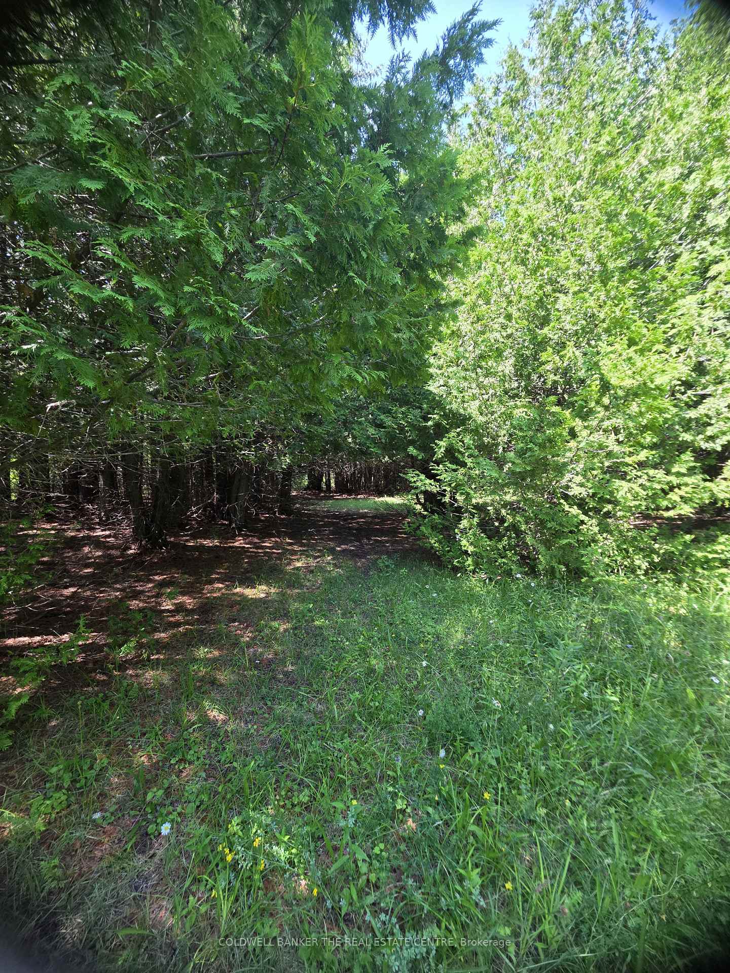 N/A Government Road W, Tehkummah, ON P0P 2C0, Tehkummah — photo 1