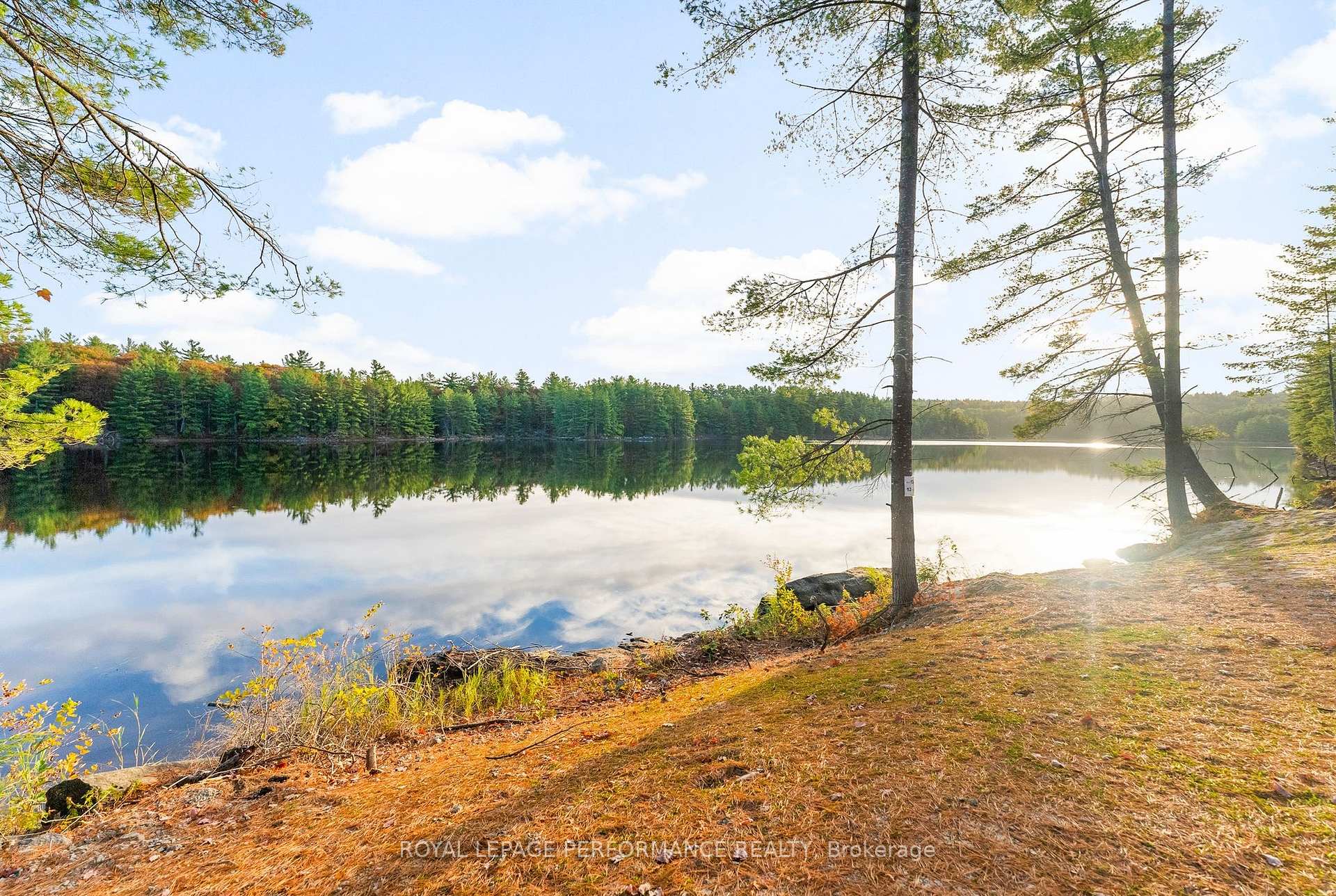 12 Voyageur Bay Trail, Whitewater Region, ON K0J 1V0, Whitewater Region — photo 1