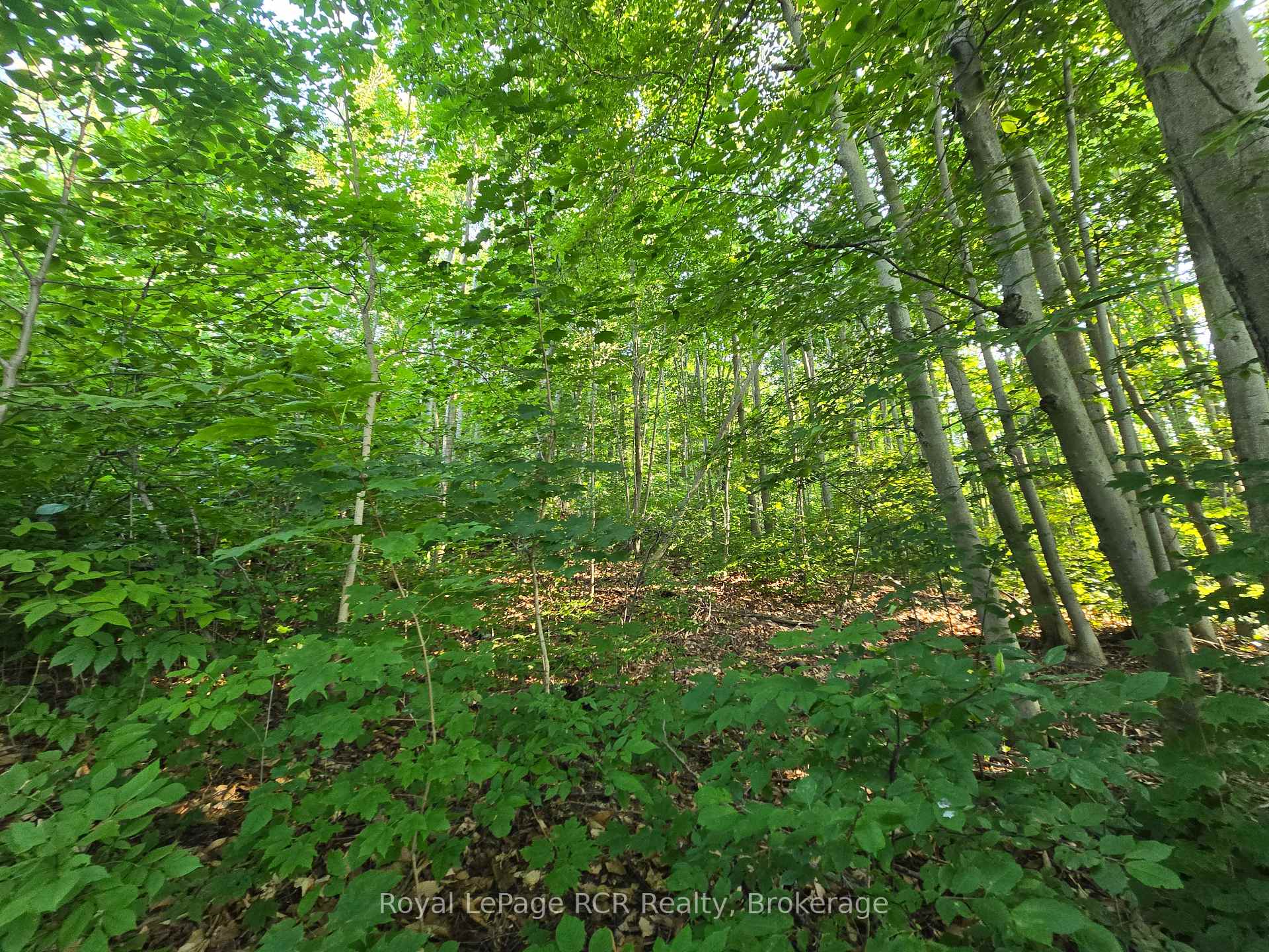 126 Old Highway 26 Highway, Meaford, ON N4L 1W7, Meaford — photo 1
