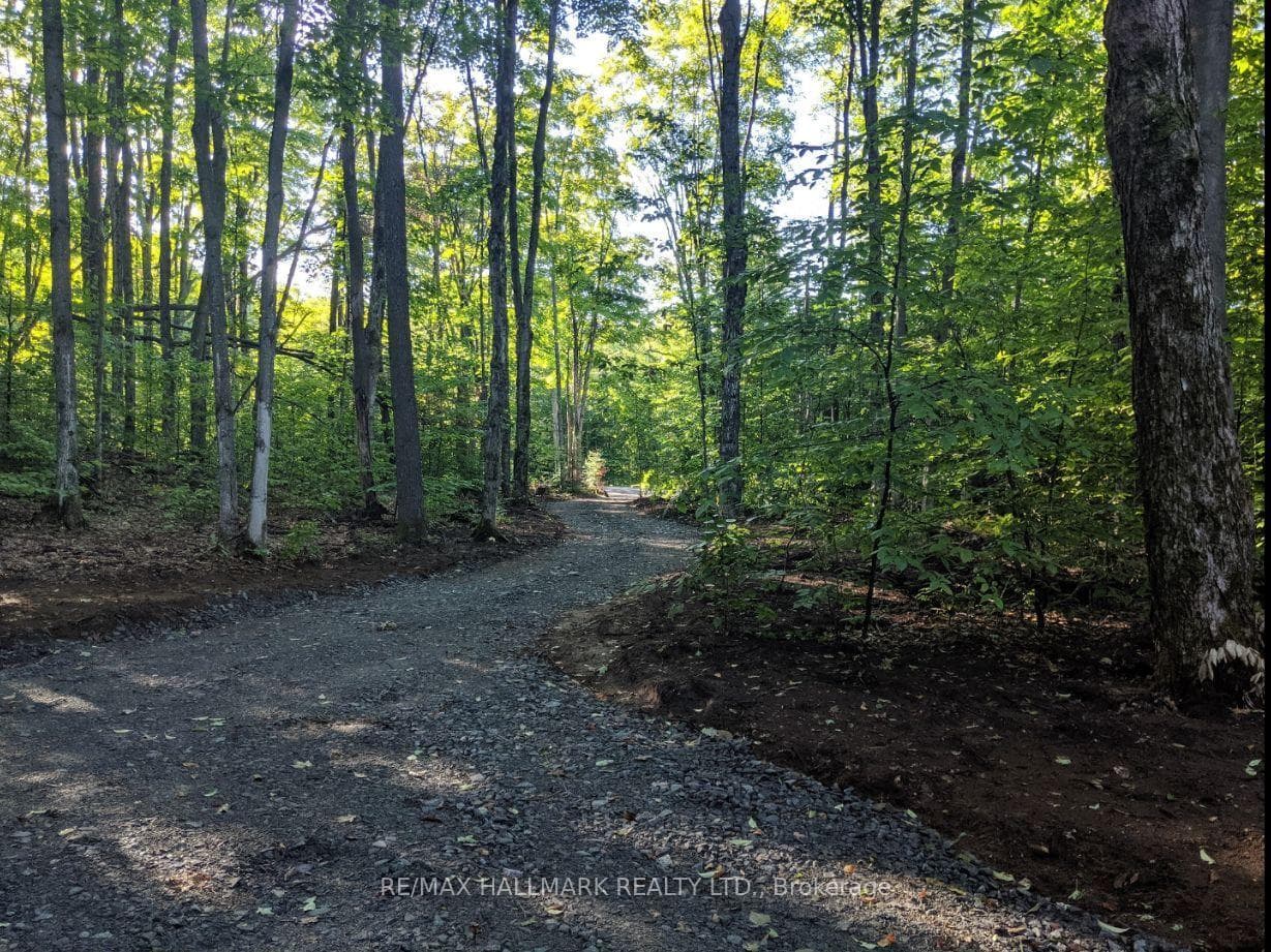 458 White House Road, Huntsville, ON P1H 2J3, Huntsville — photo 1