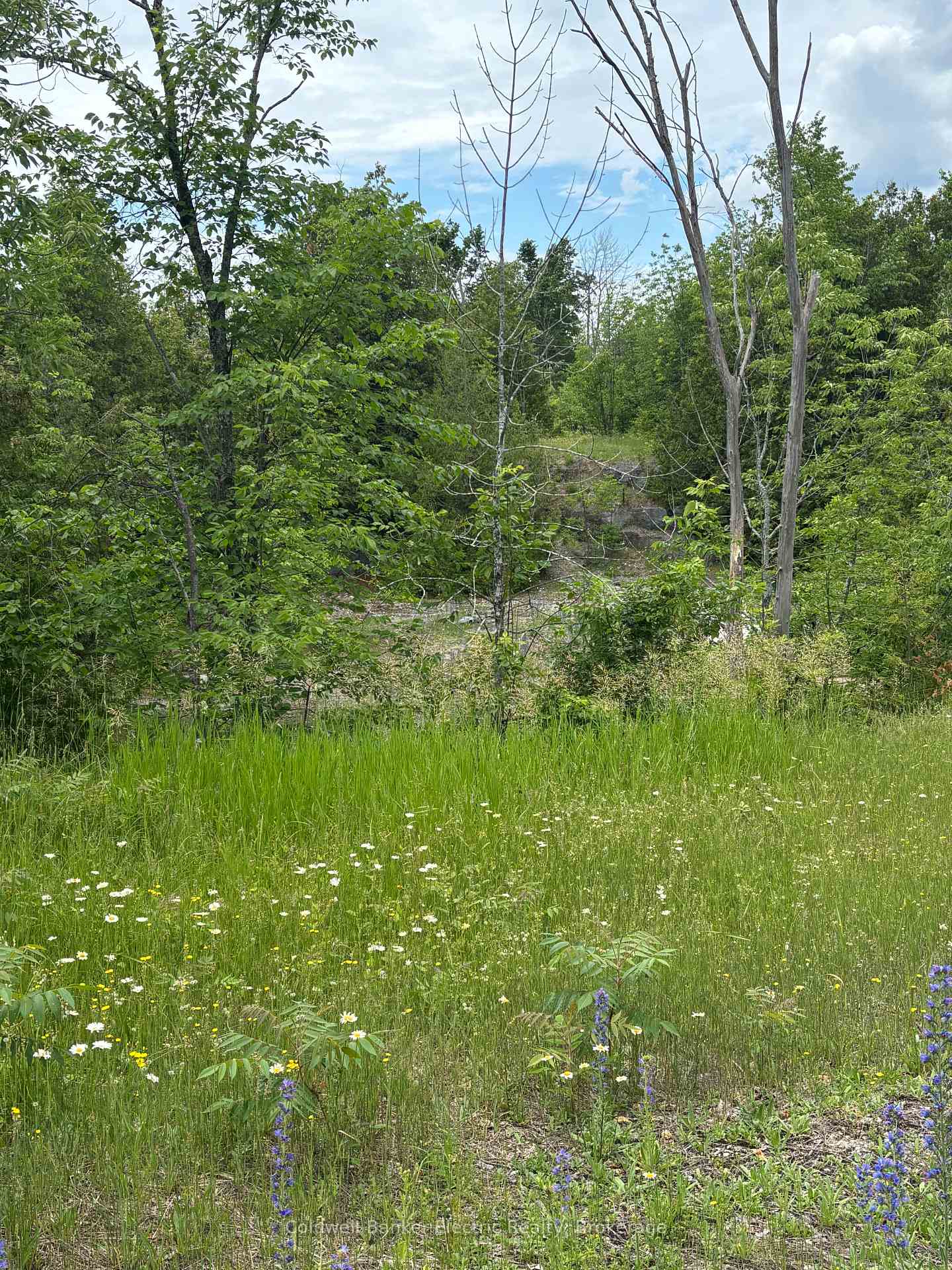 0 Tower Road, Madoc, ON K0K 1Y0, Madoc — photo 1