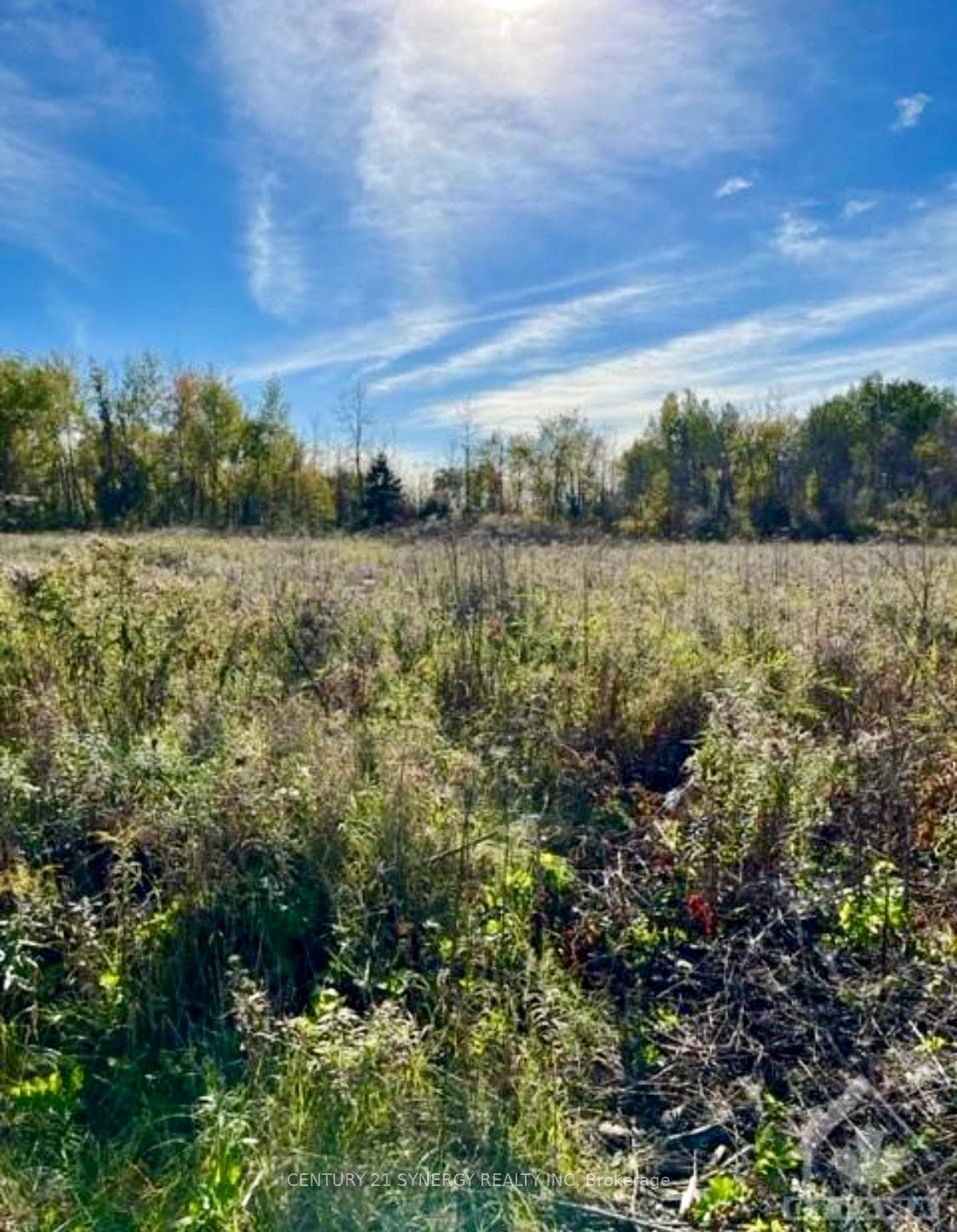 26 HONEY BEE Grove, Stittsville - Munster - Richmond, ON K0A 2Z0, Stittsville - Munster - Richmond — photo 1