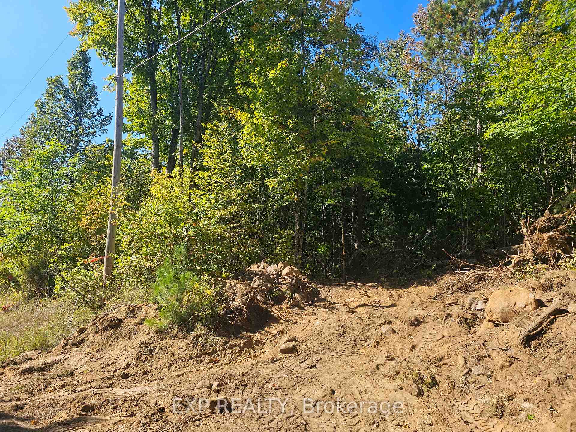 Part Lot 32 and 33 Part 2 Conc 1 Concession, Minden Hills, ON K0M 1X0, Minden Hills — photo 1